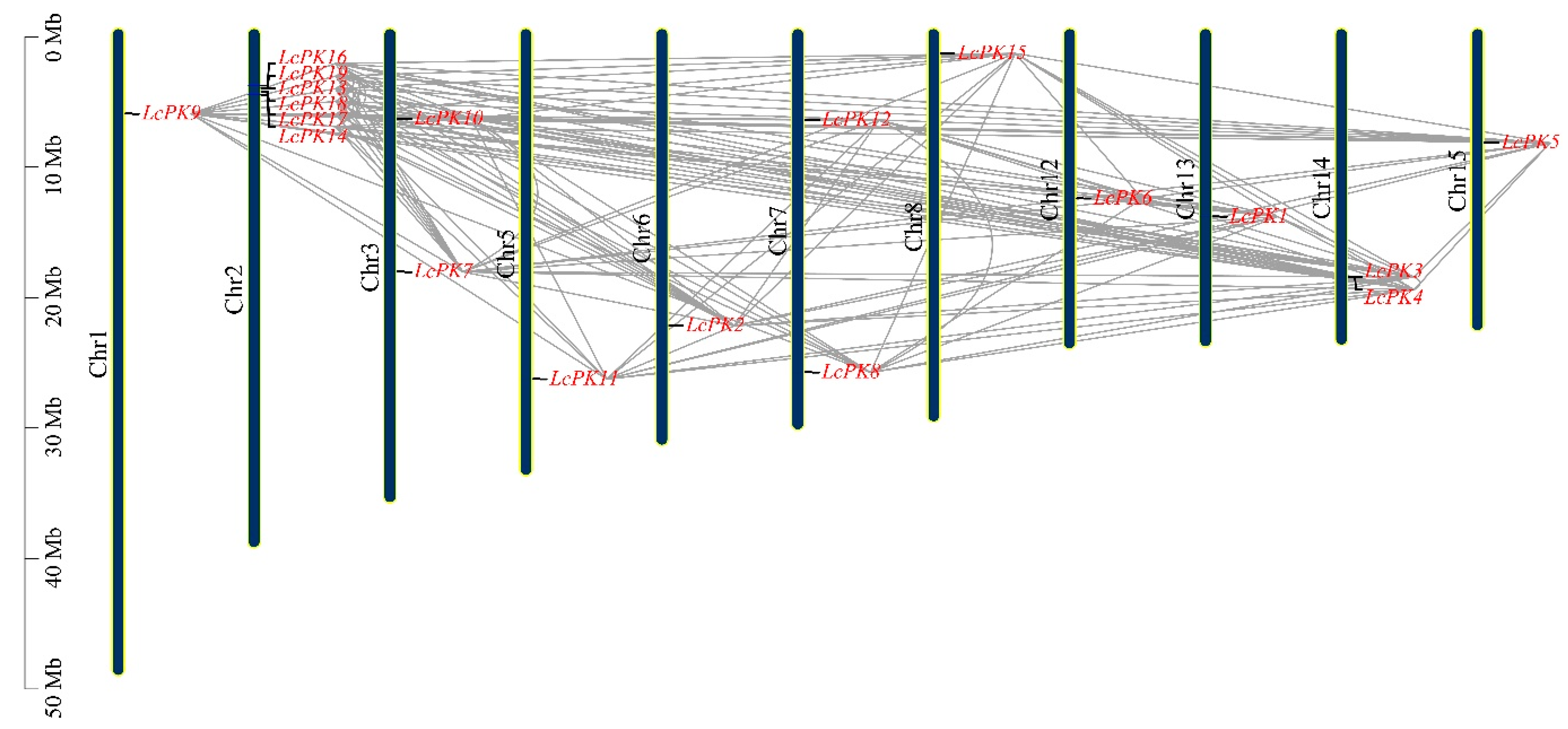 Plants 14 02764 g004 Plants 14 02764 g004