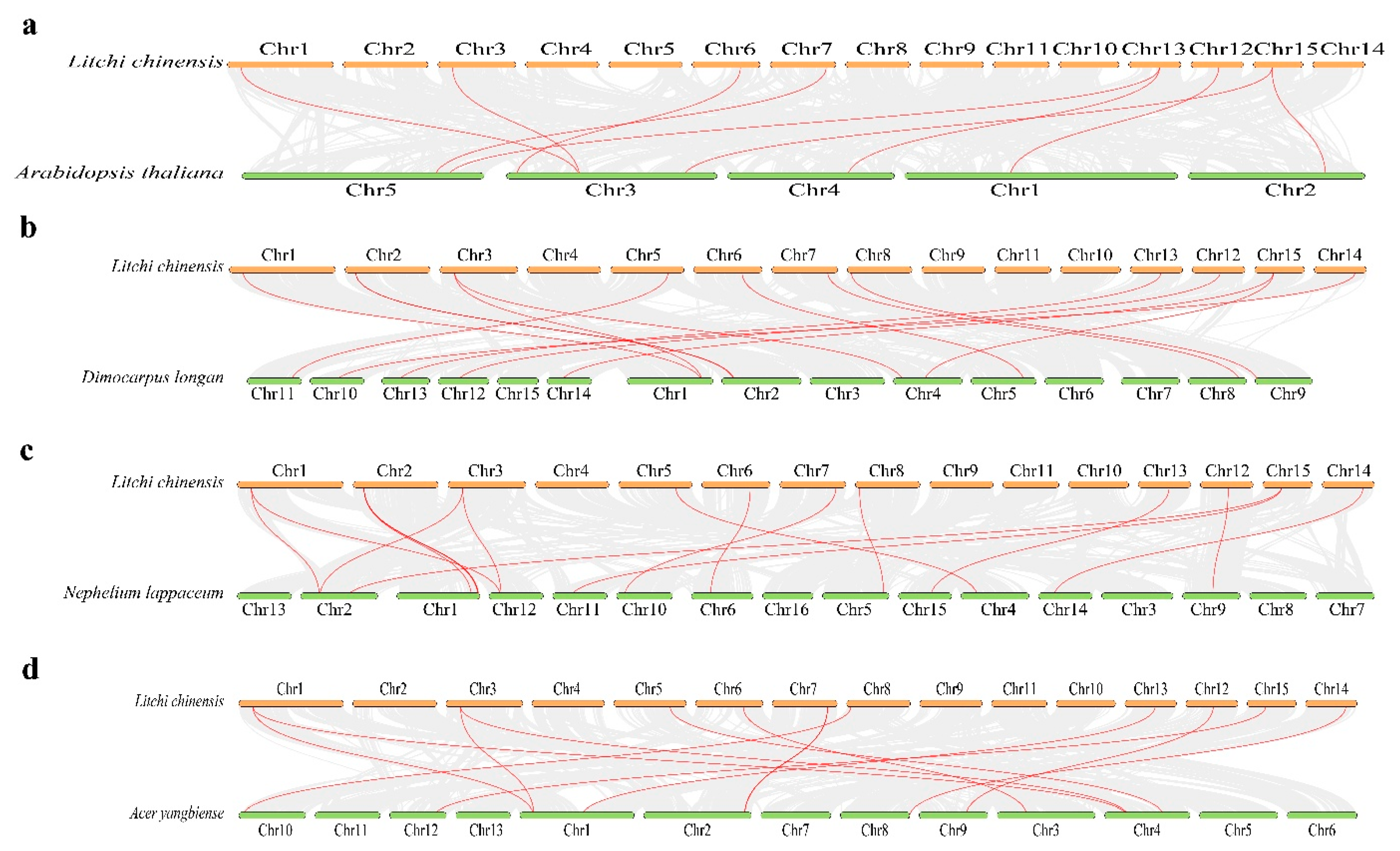 Plants 14 02764 g006 Plants 14 02764 g006
