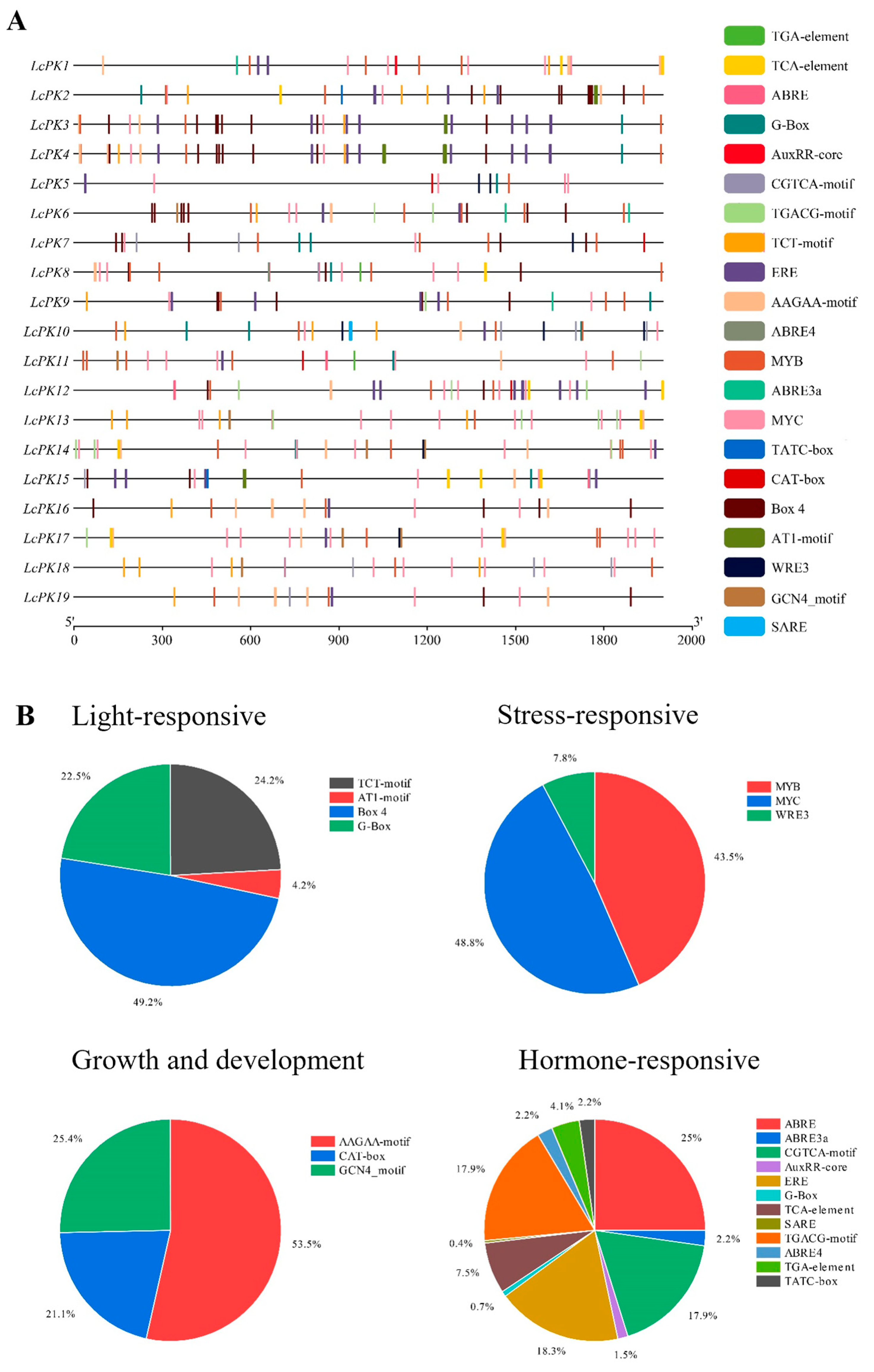 Plants 14 02764 g007 Plants 14 02764 g007