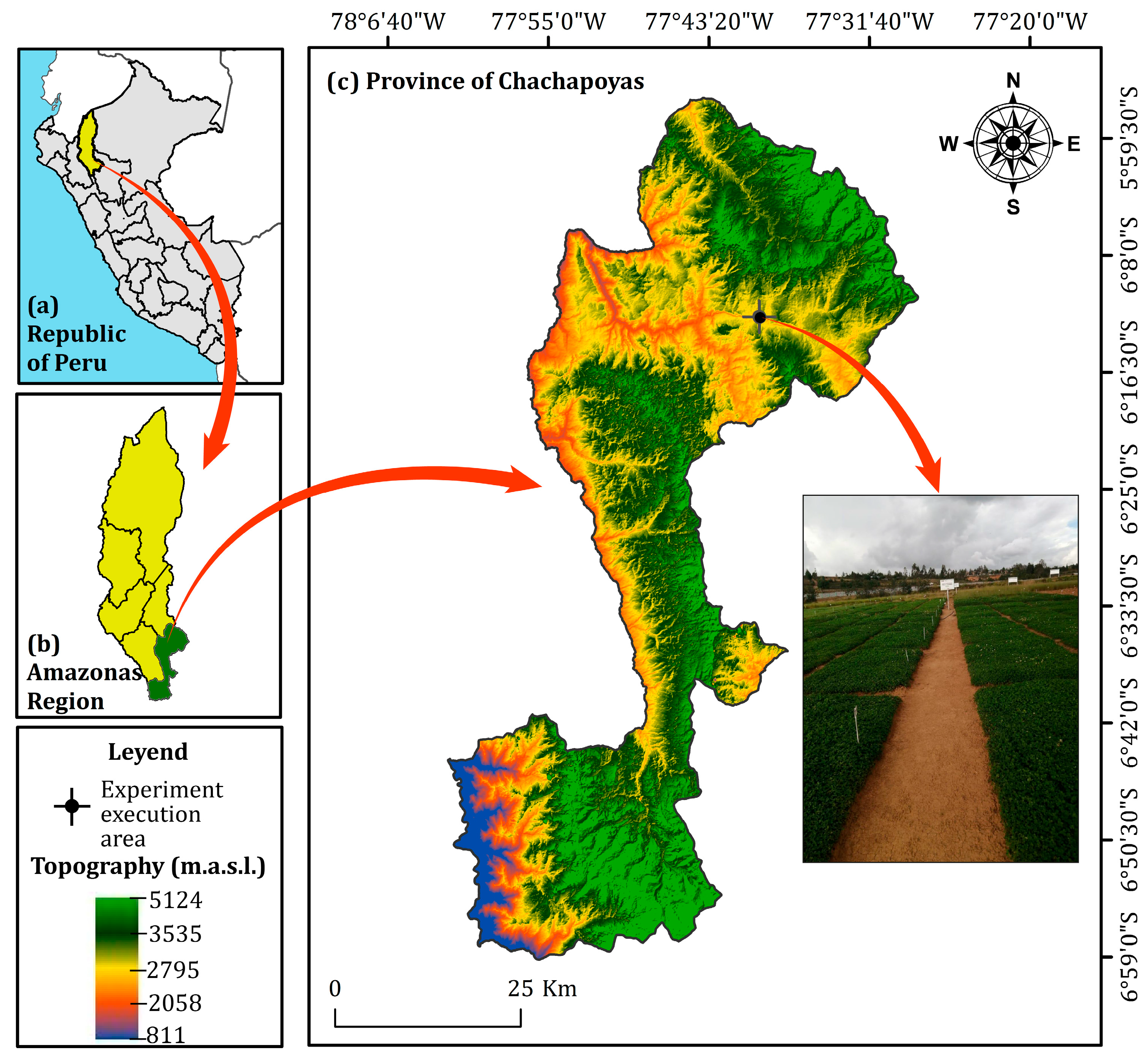 Plants 14 02765 g007 Plants 14 02765 g007