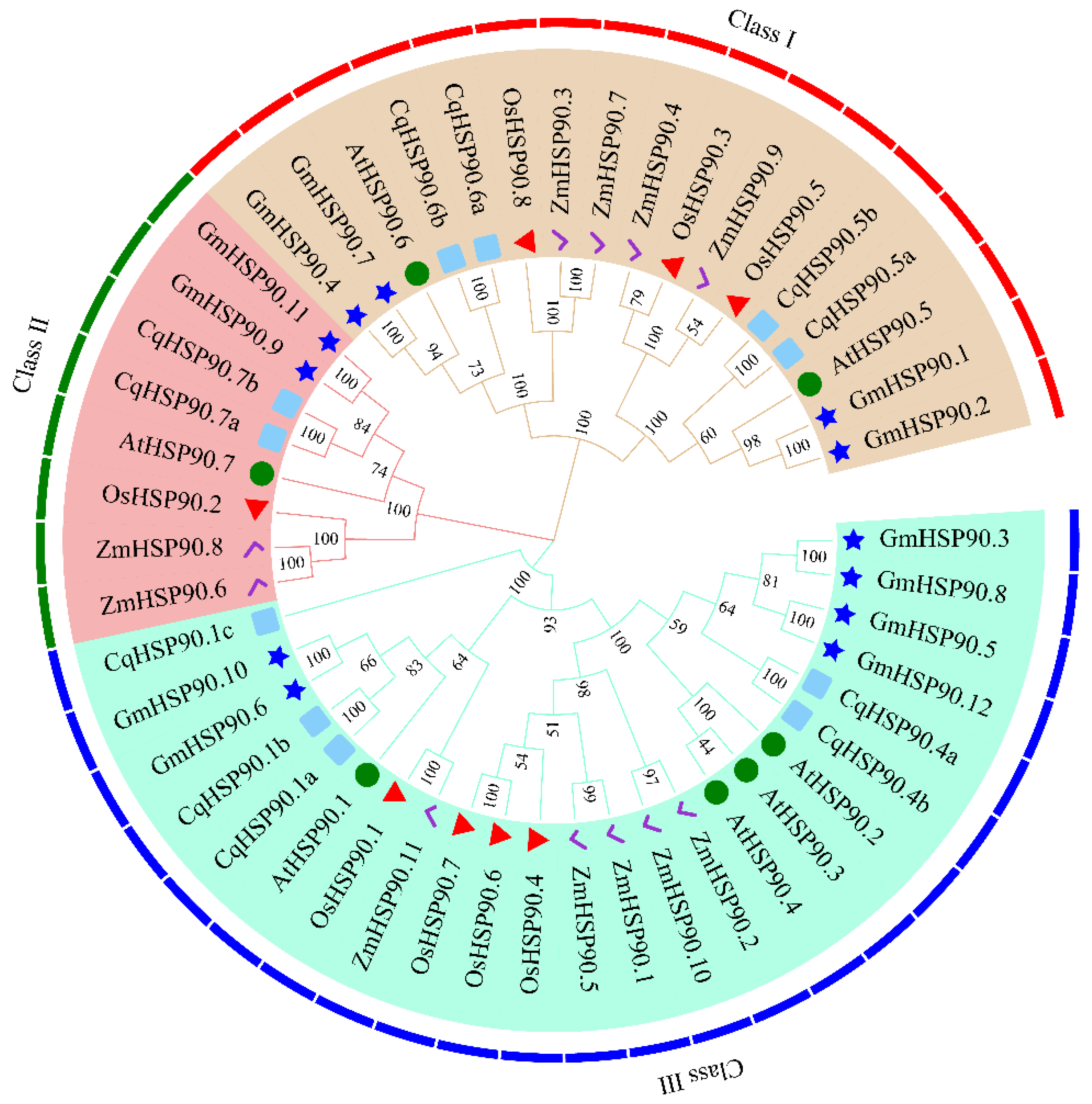 Plants 14 02770 g001 Plants 14 02770 g001