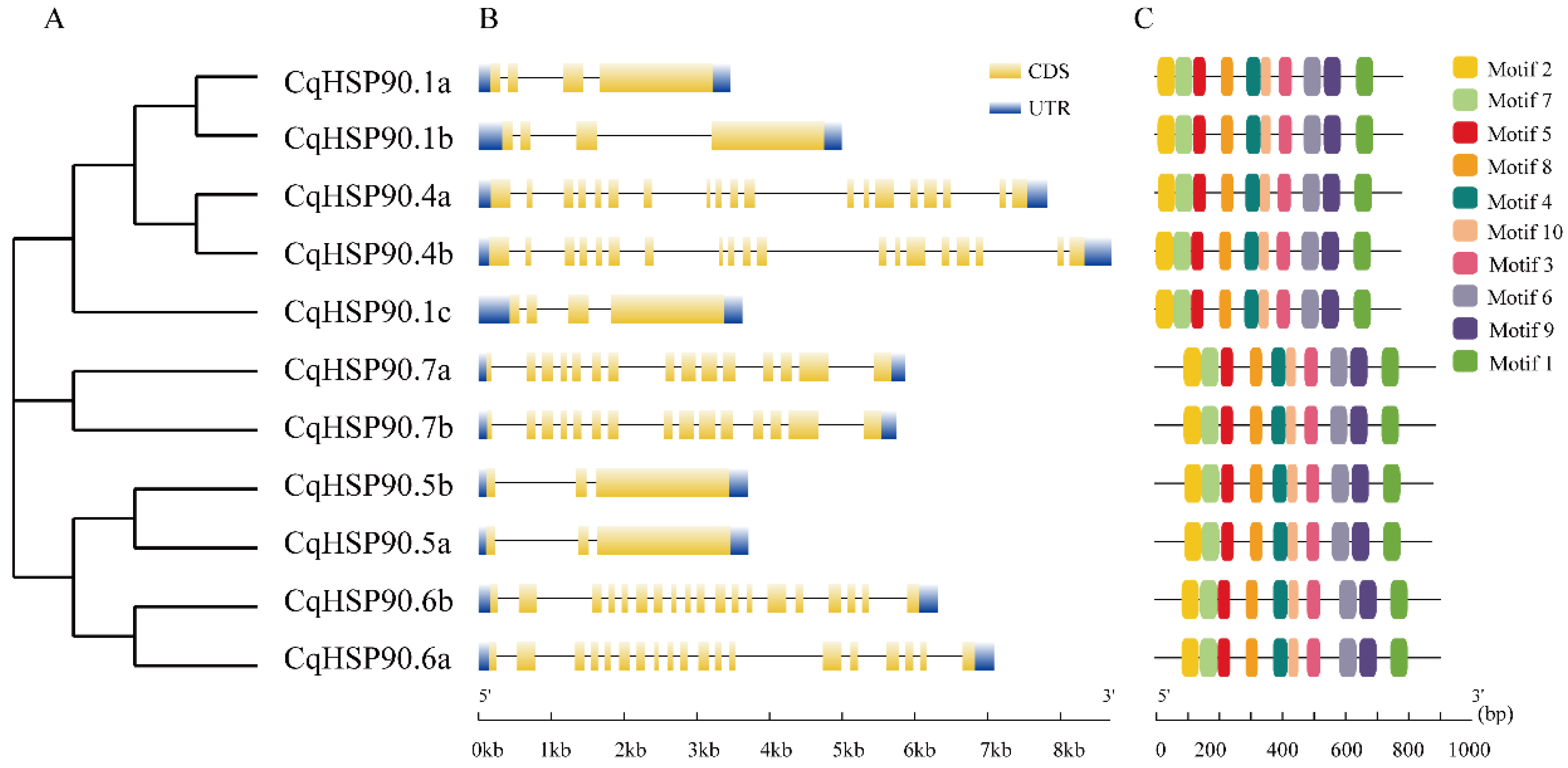 Plants 14 02770 g002 Plants 14 02770 g002