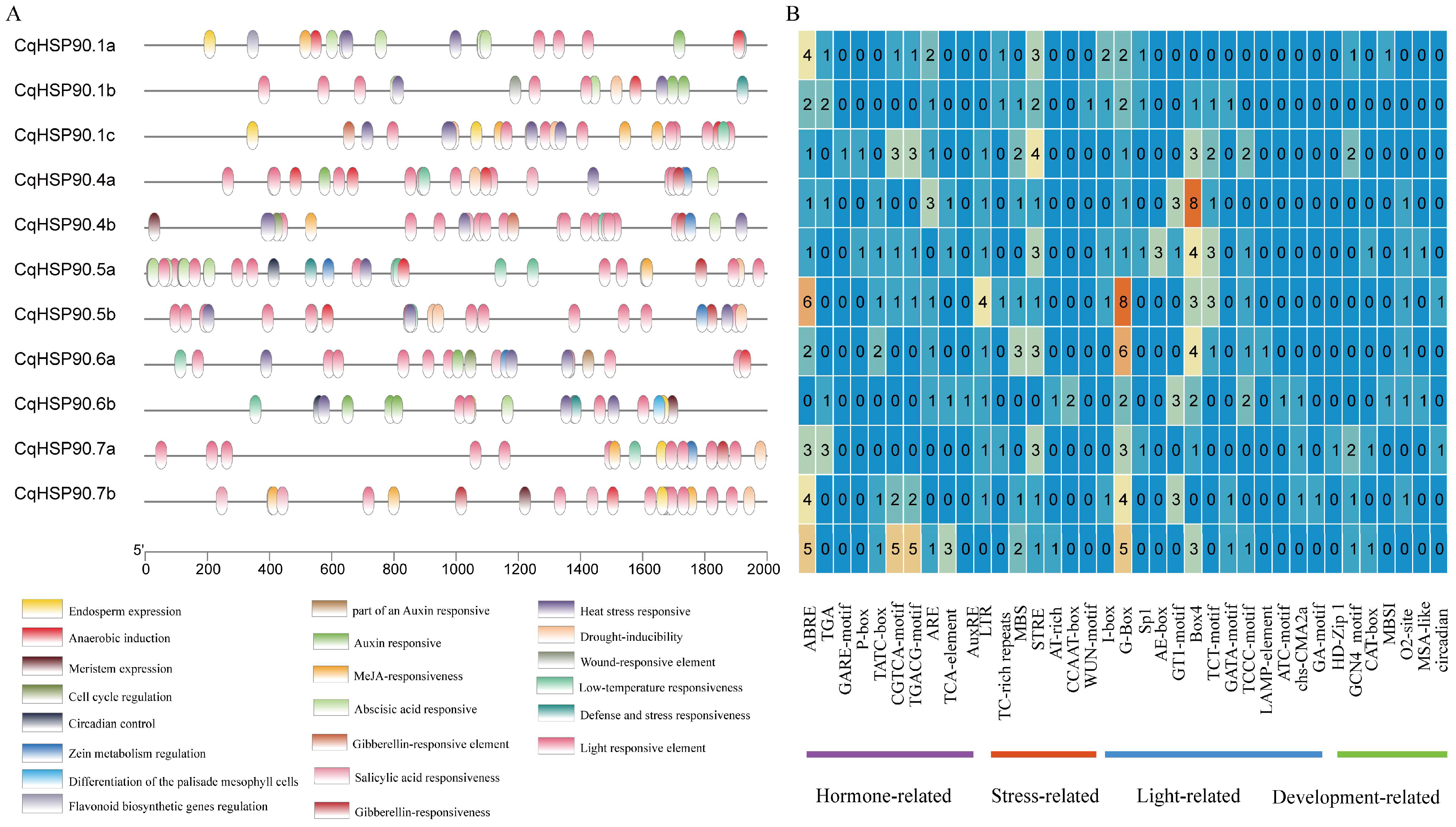 Plants 14 02770 g003 Plants 14 02770 g003