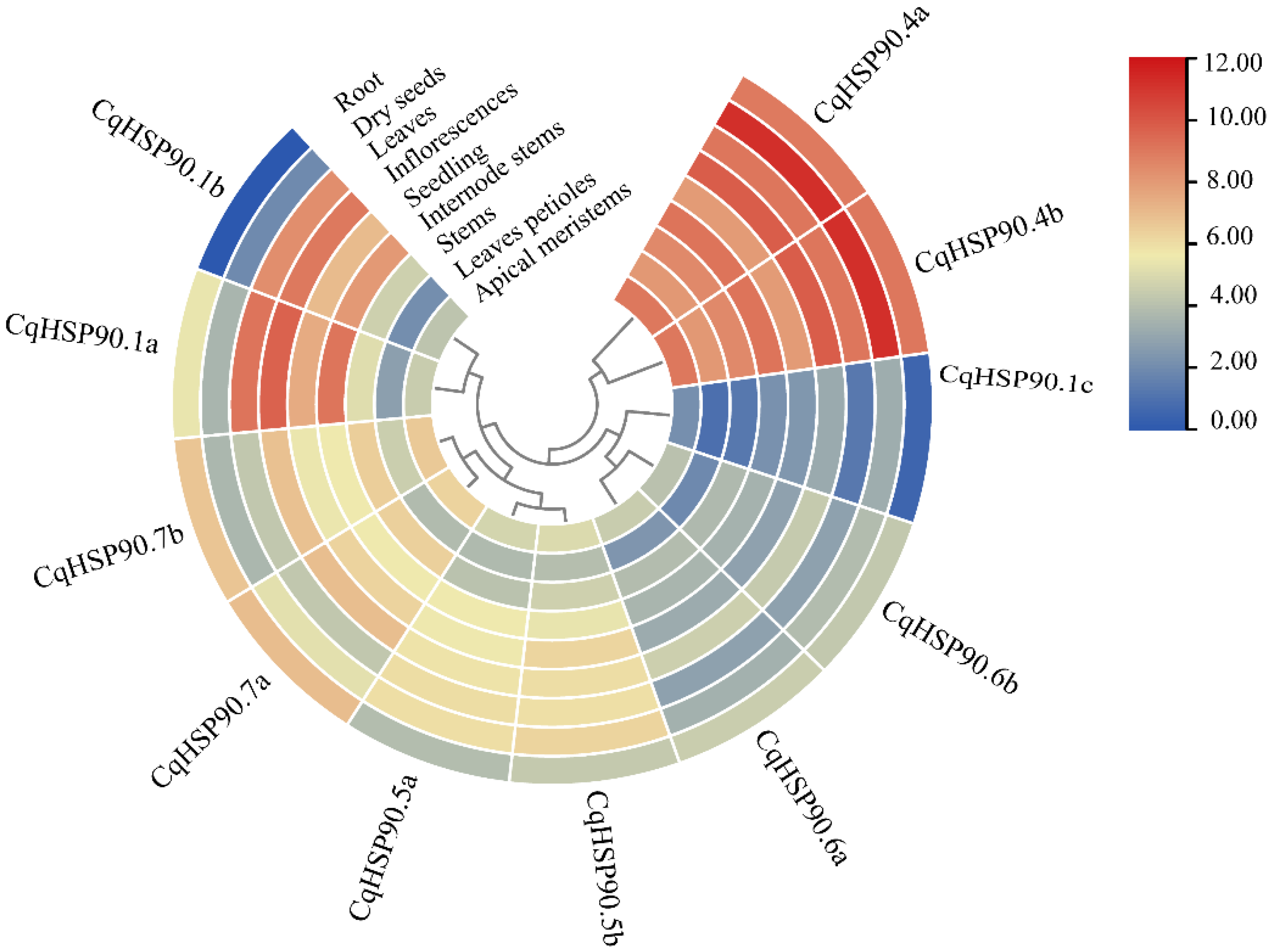 Plants 14 02770 g004 Plants 14 02770 g004