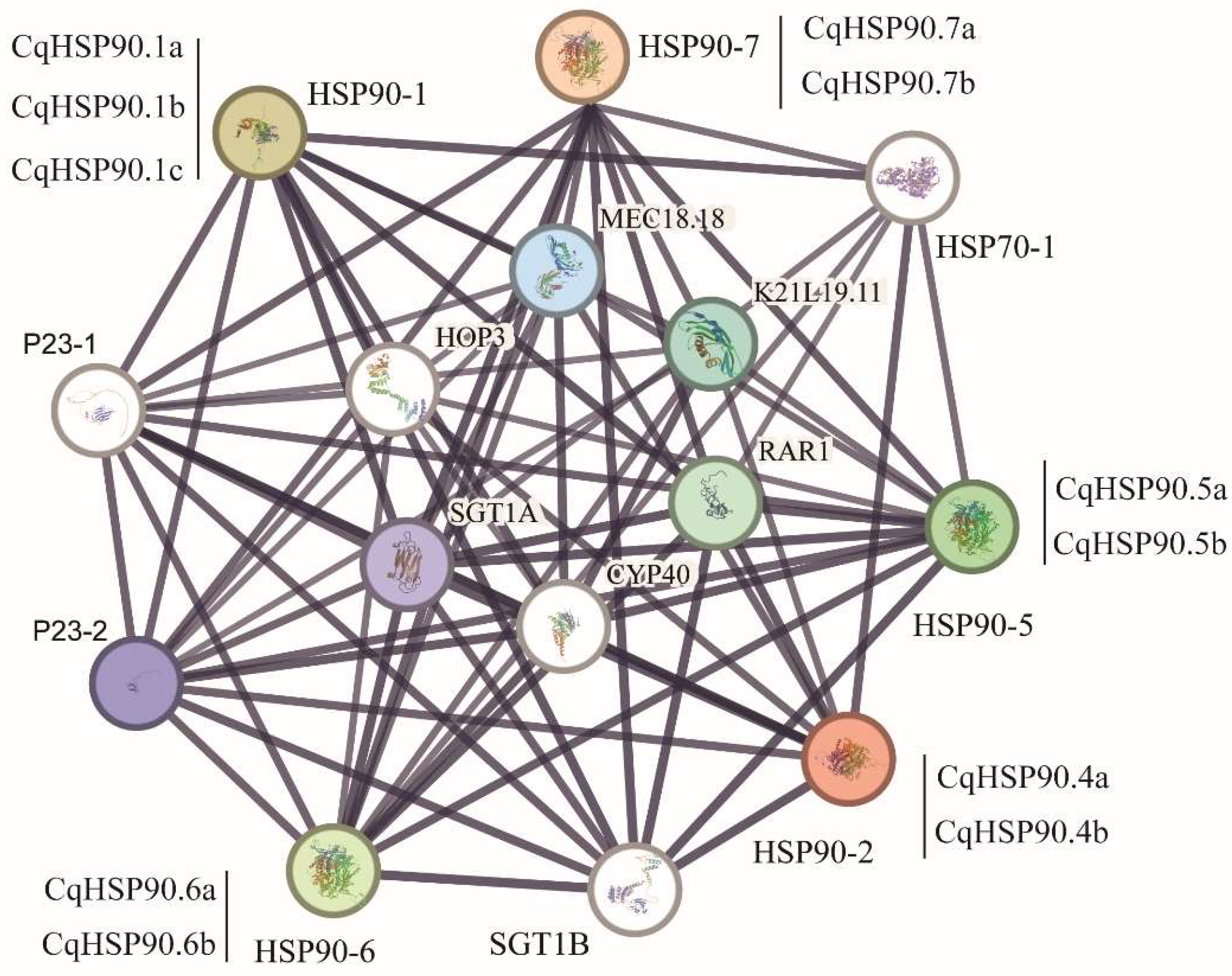 Plants 14 02770 g007 Plants 14 02770 g007