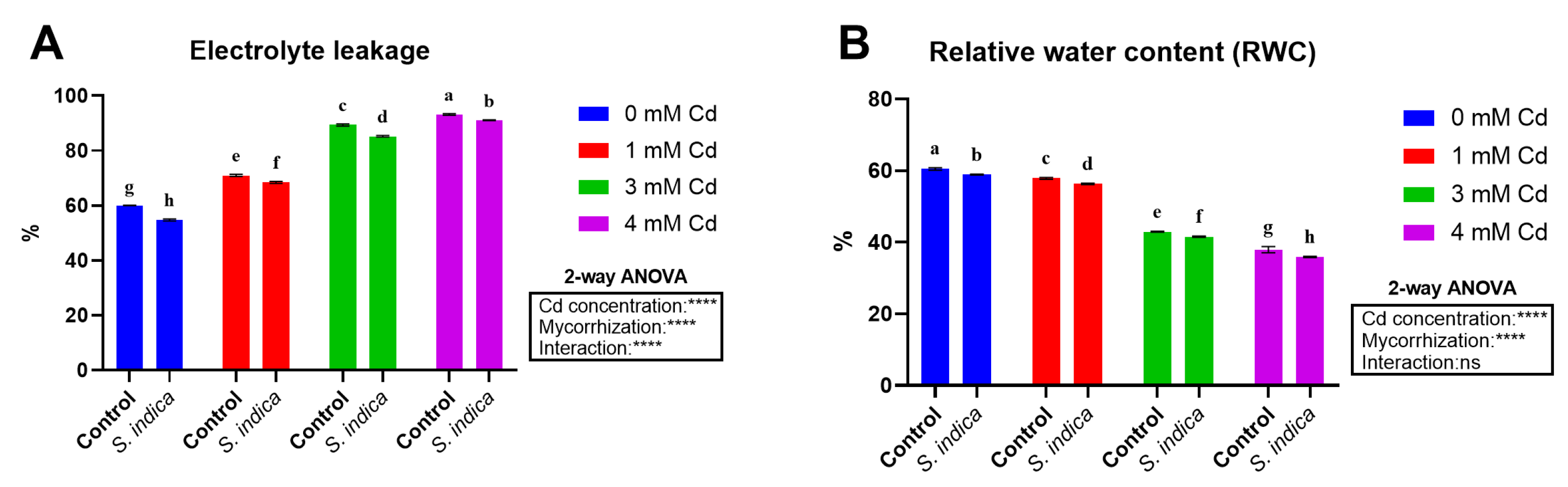 Plants 14 02773 g003