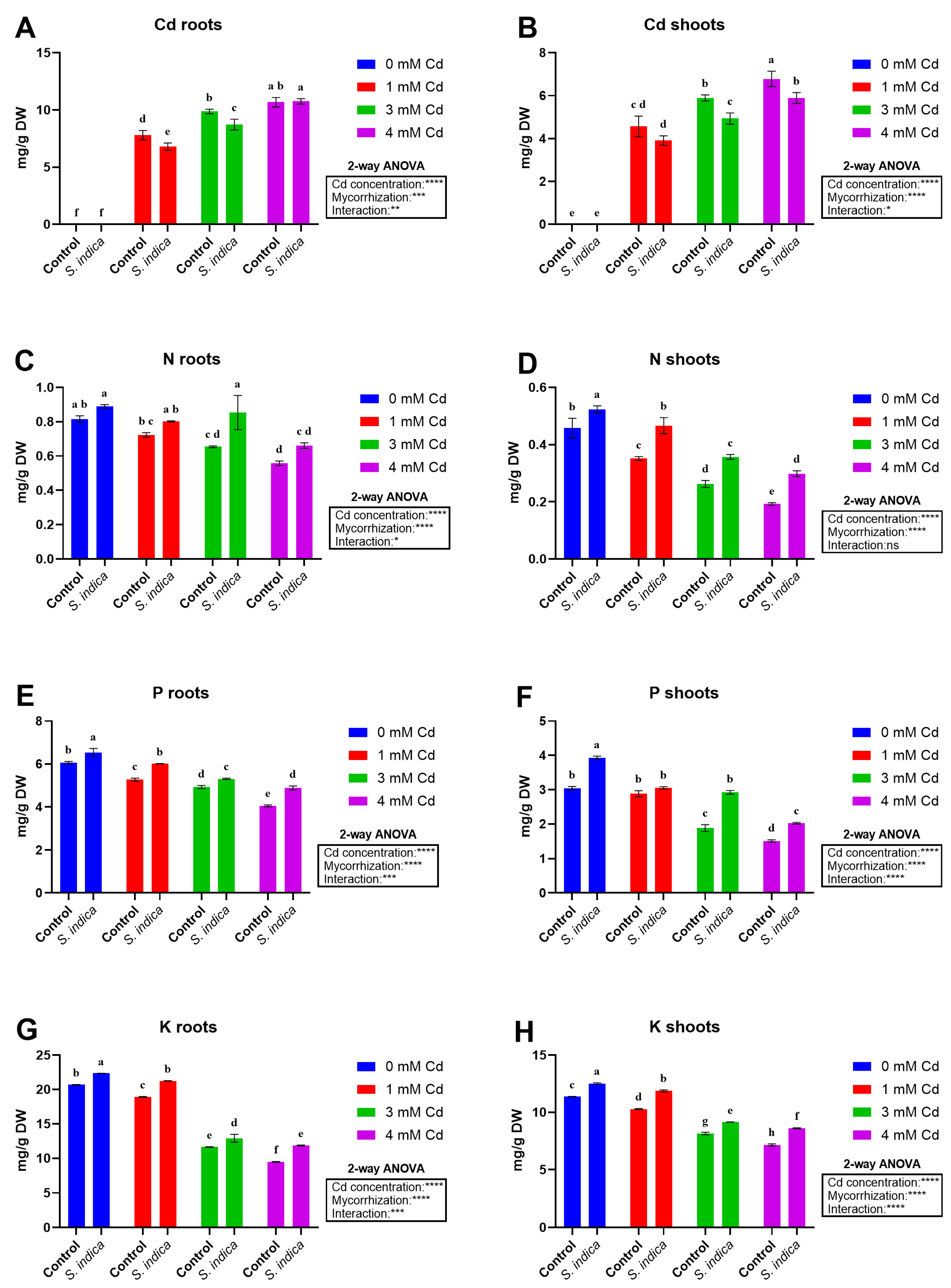 Plants 14 02773 g006