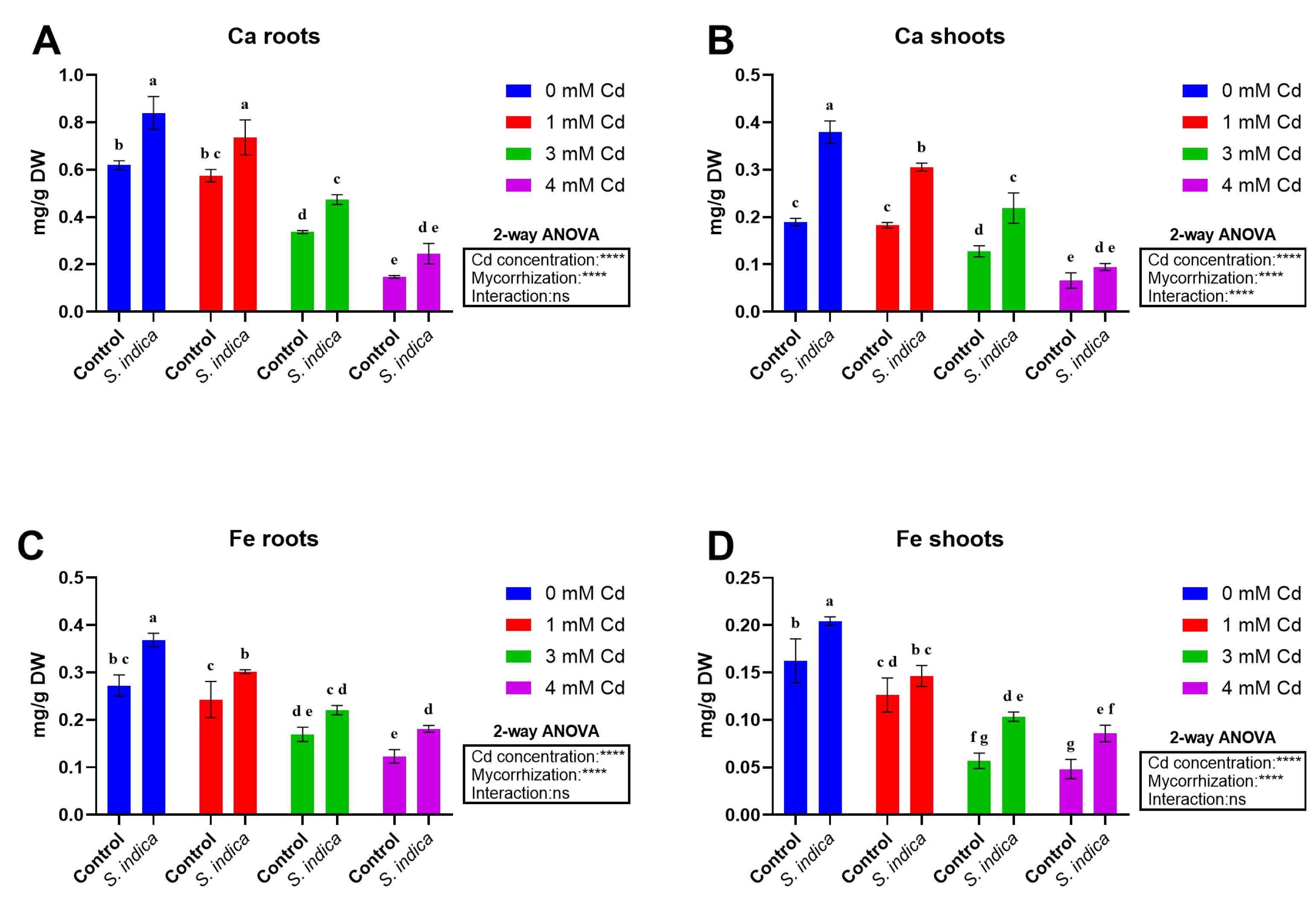 Plants 14 02773 g007