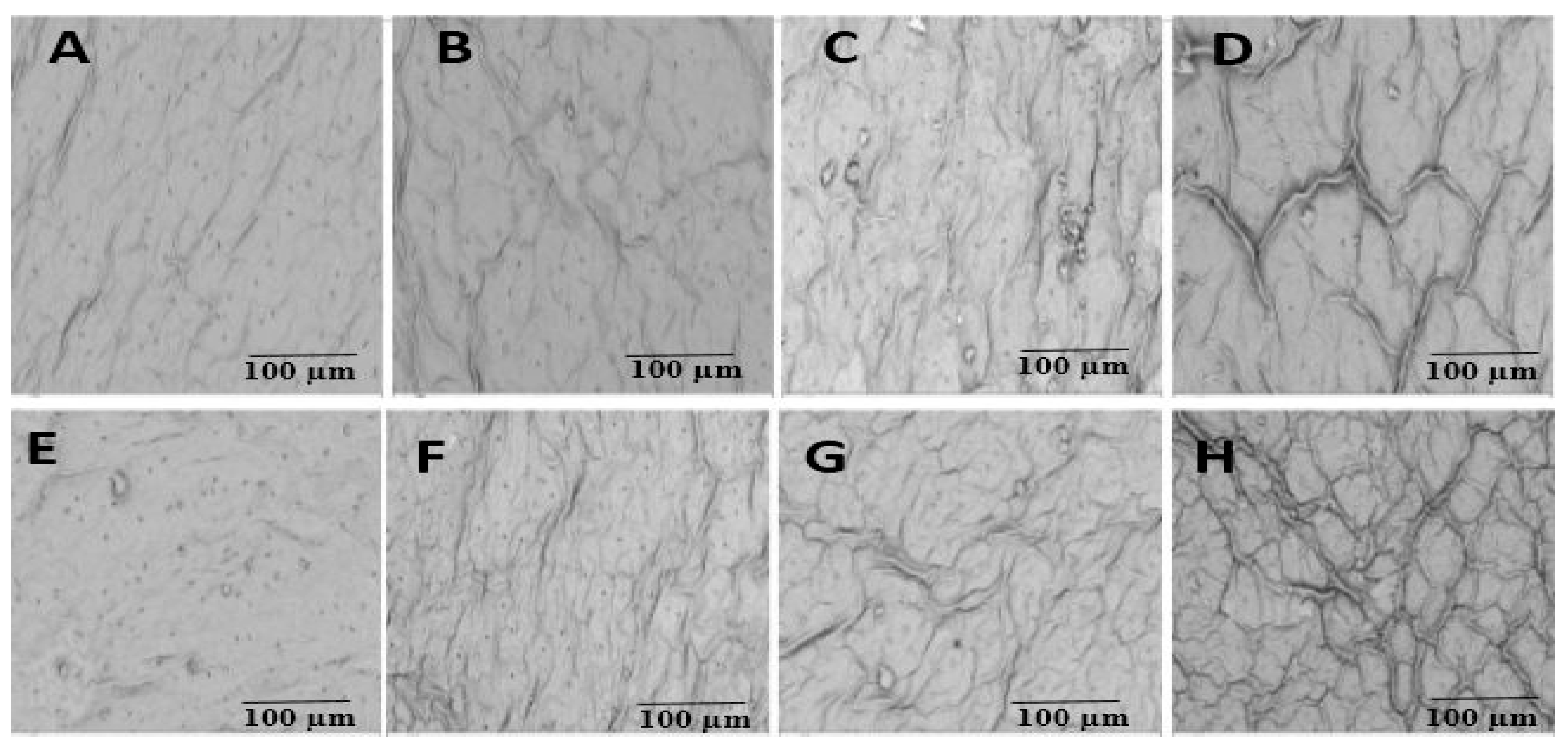 Plants 14 02773 g009