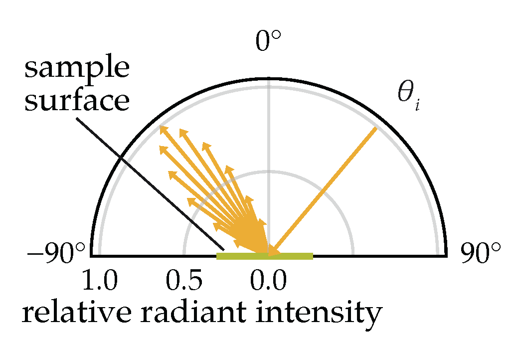 Plants 14 02775 g001