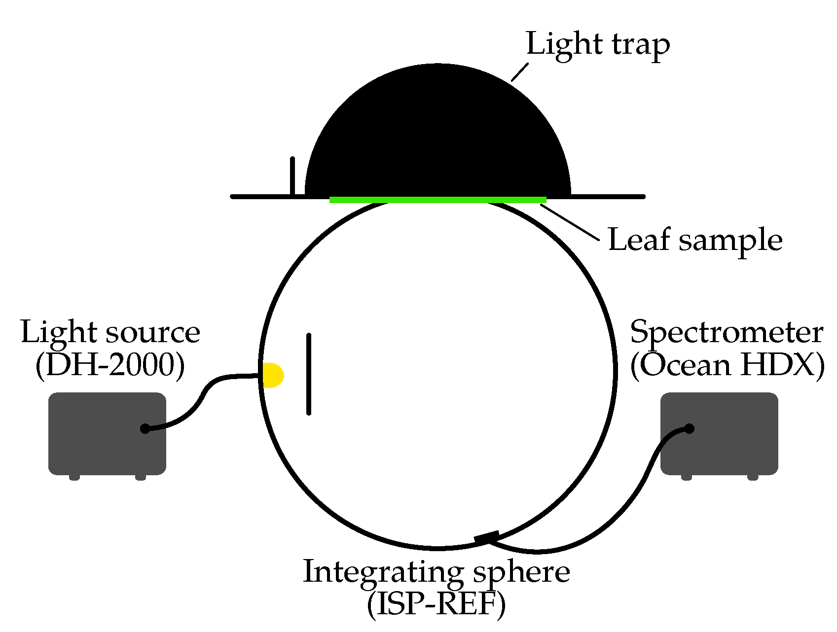 Plants 14 02775 g003