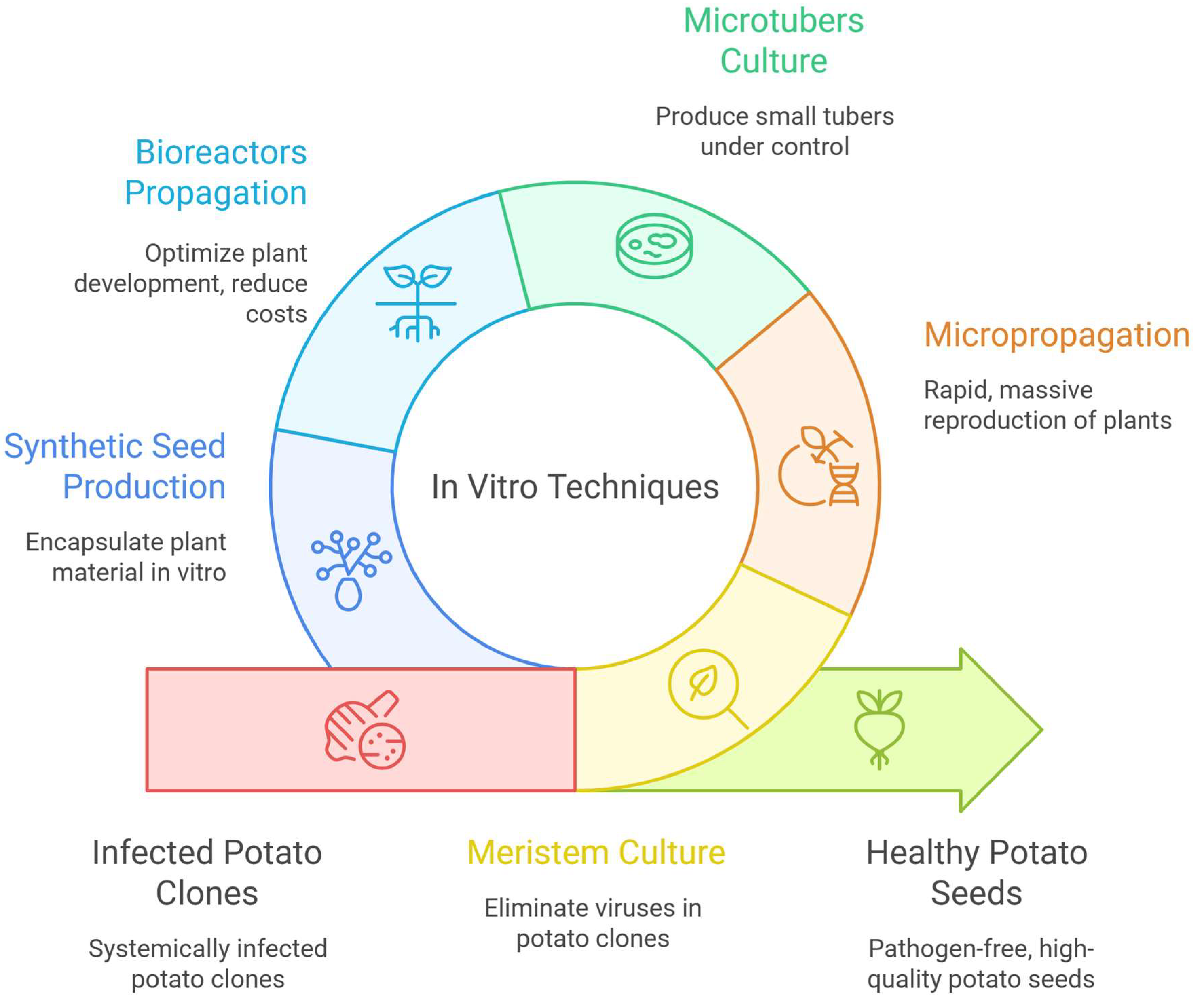 Plants 14 02777 g002 Plants 14 02777 g002