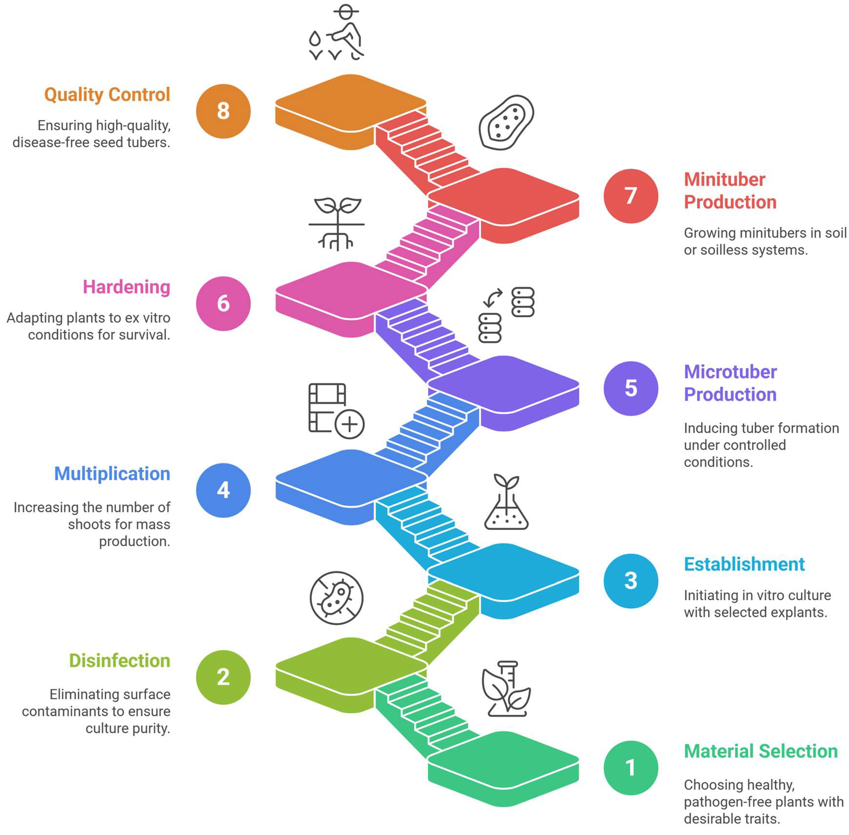 Plants 14 02777 g003 Plants 14 02777 g003