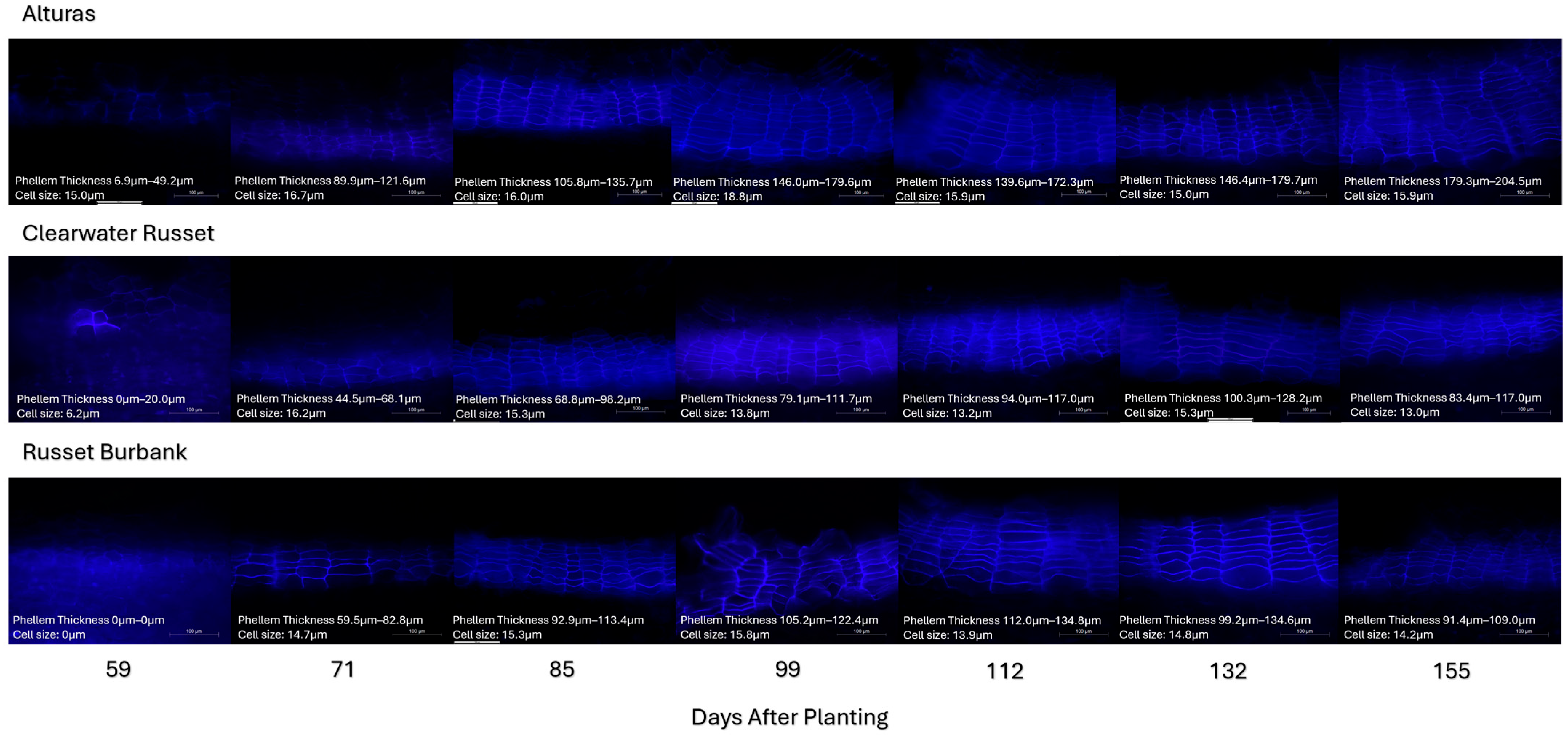 Plants 14 02780 g004 Plants 14 02780 g004