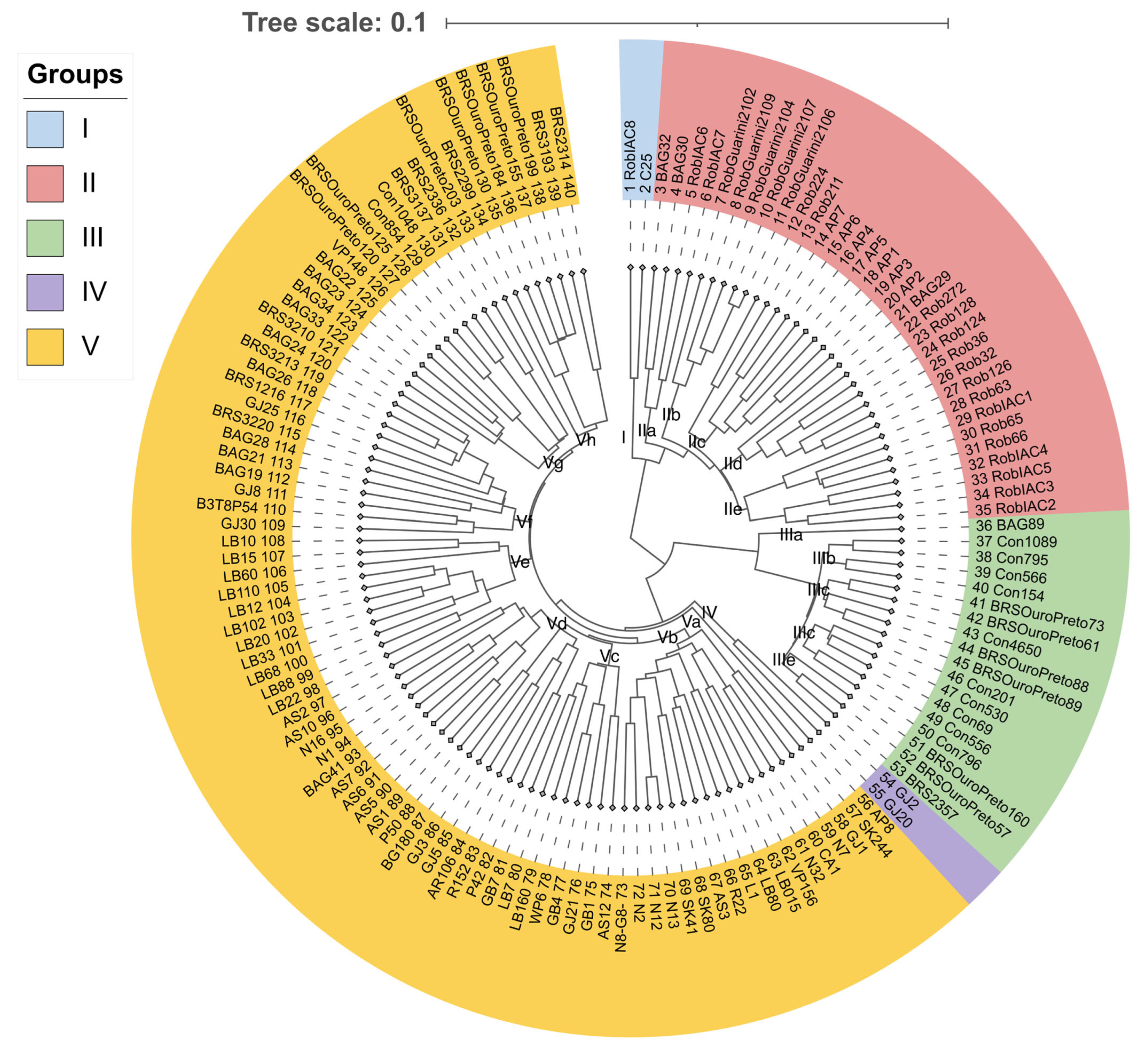 Plants 14 02781 g001