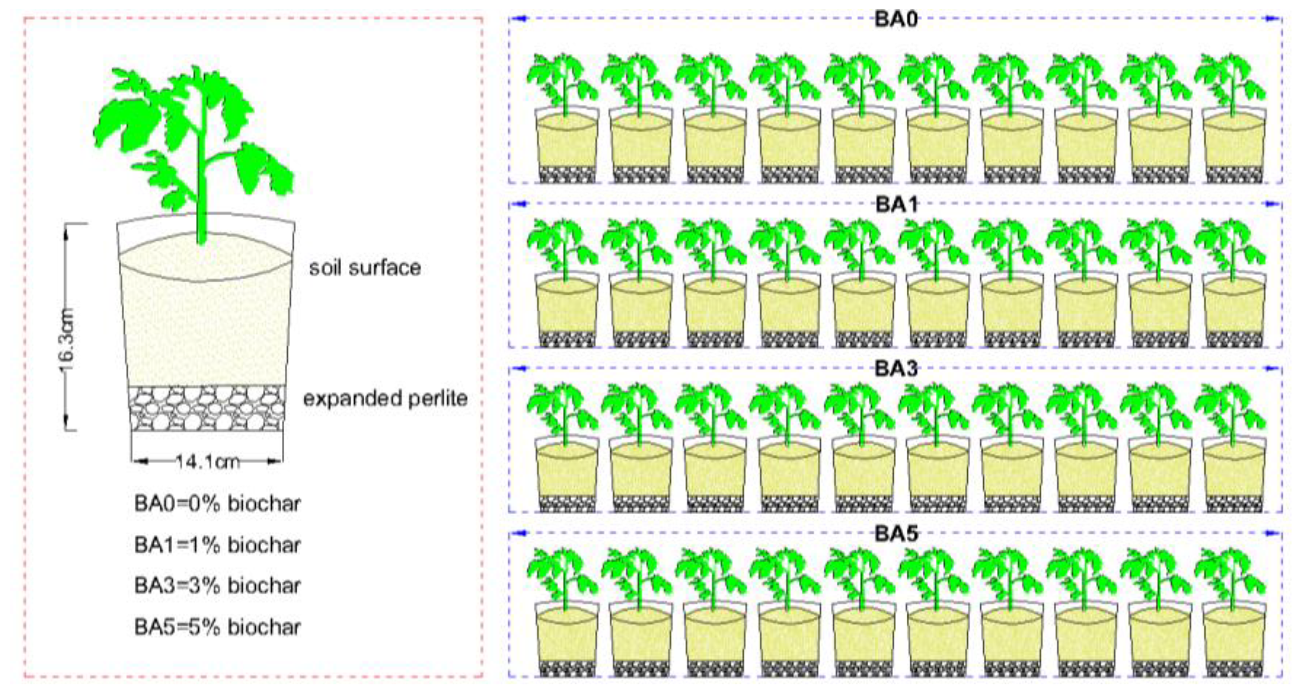 Plants 14 02787 g007