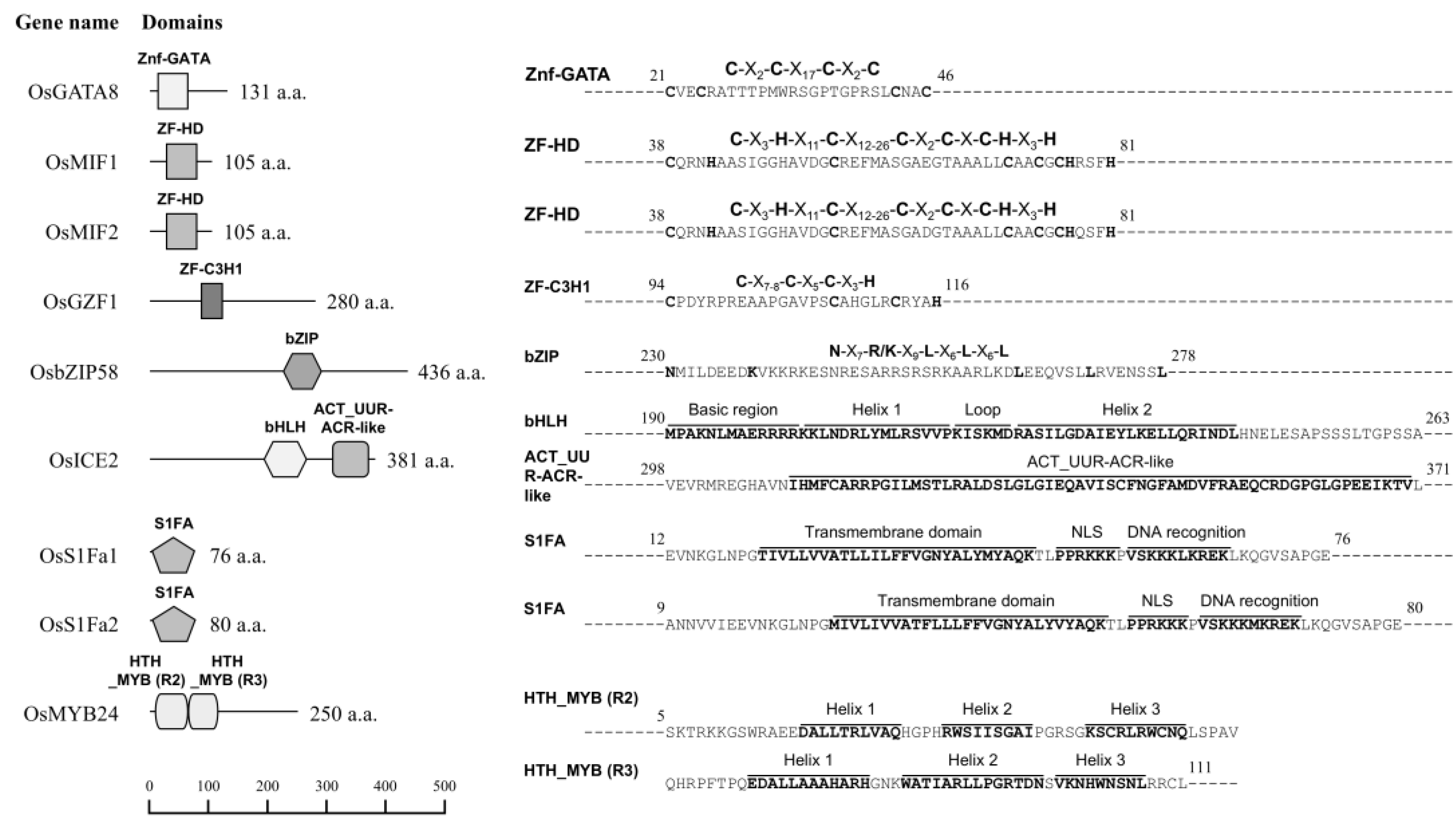 Plants 14 02791 g002