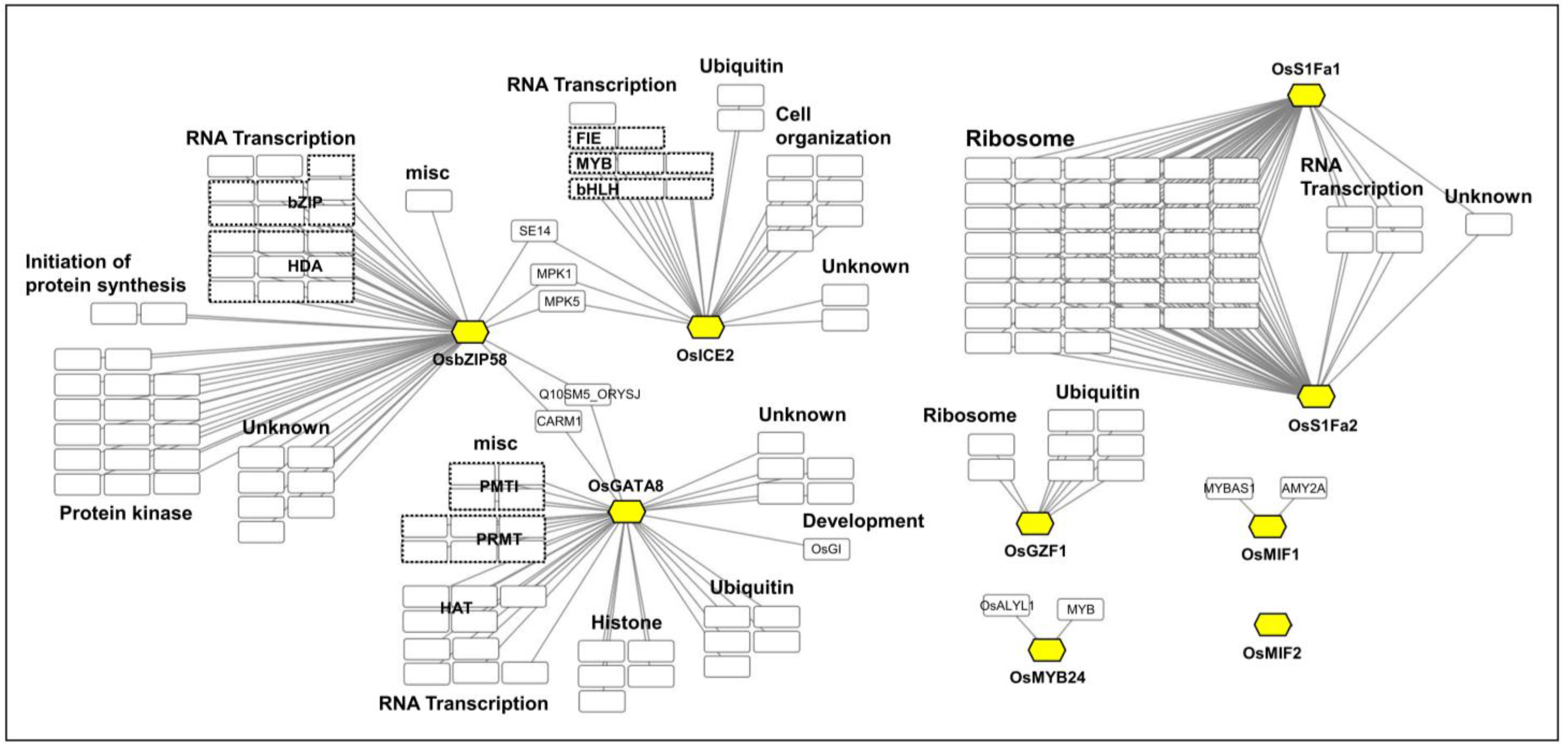 Plants 14 02791 g003