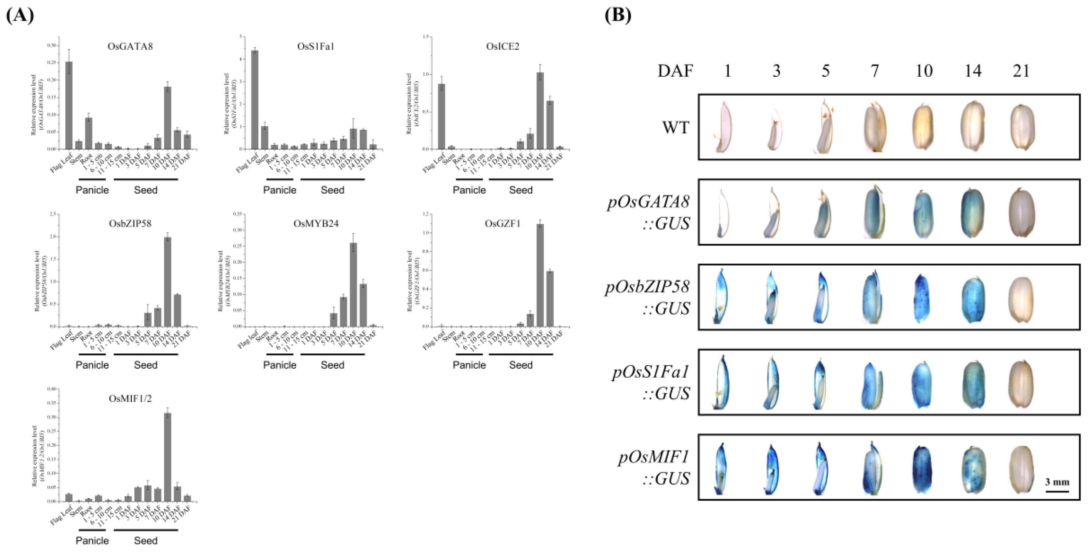 Plants 14 02791 g004