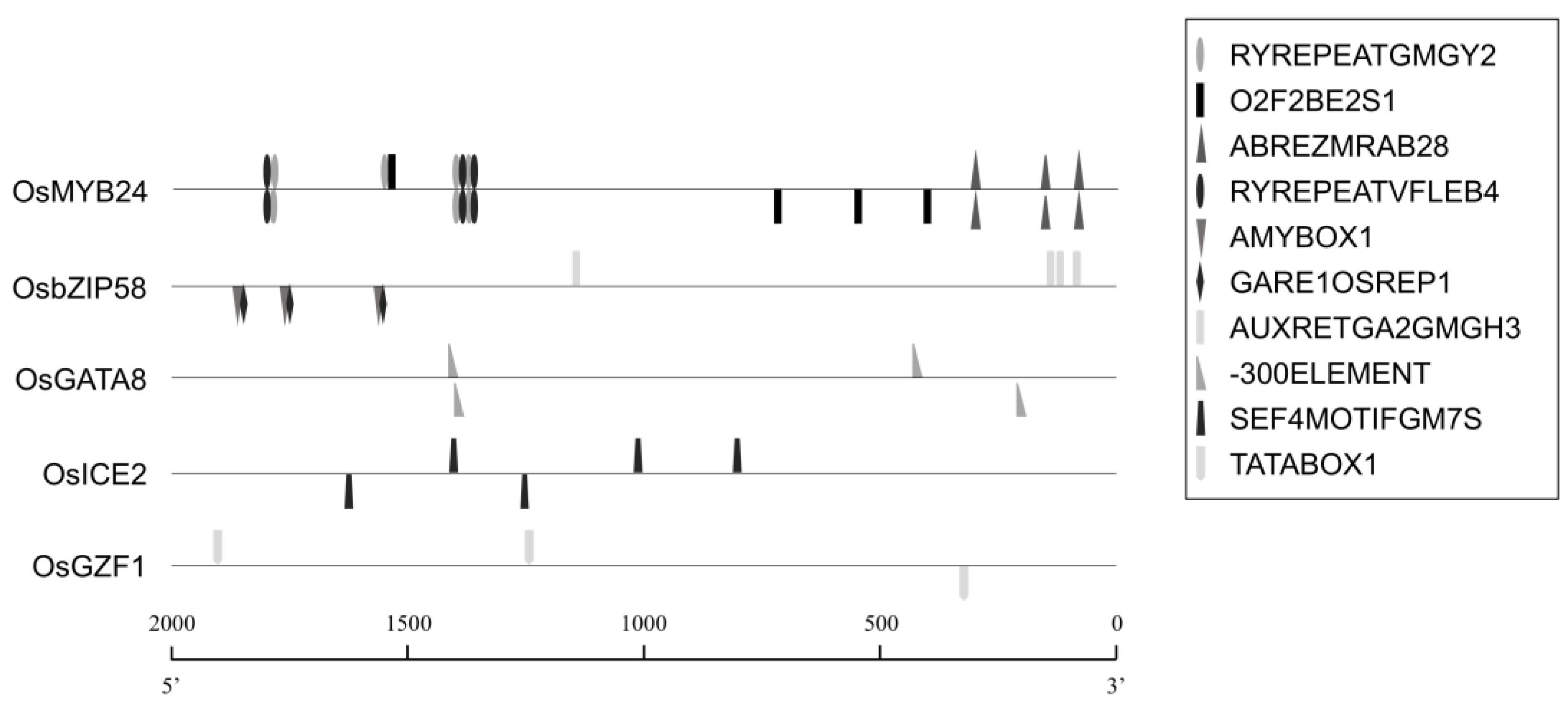 Plants 14 02791 g005