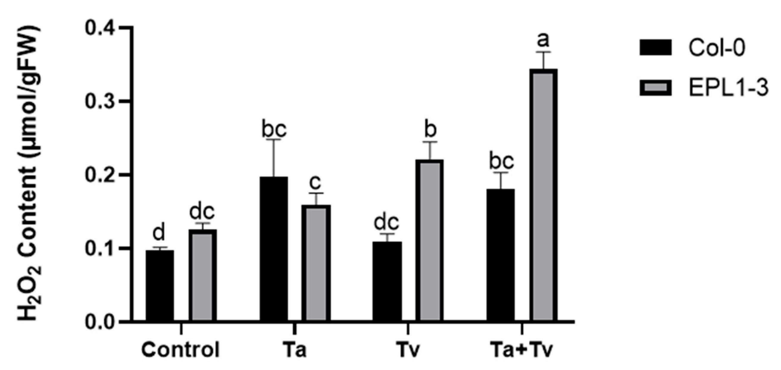 Plants 14 02794 g004