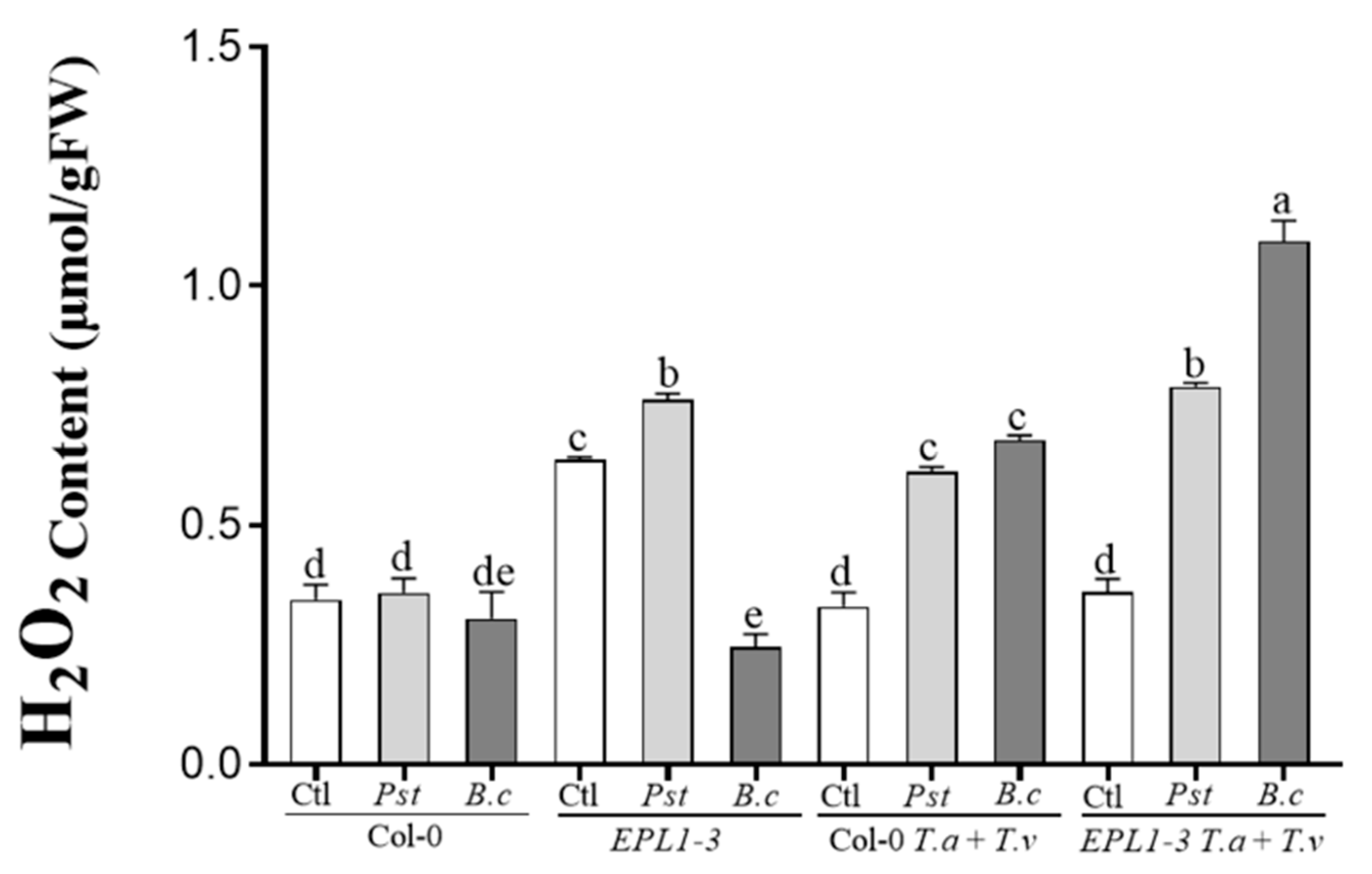 Plants 14 02794 g005