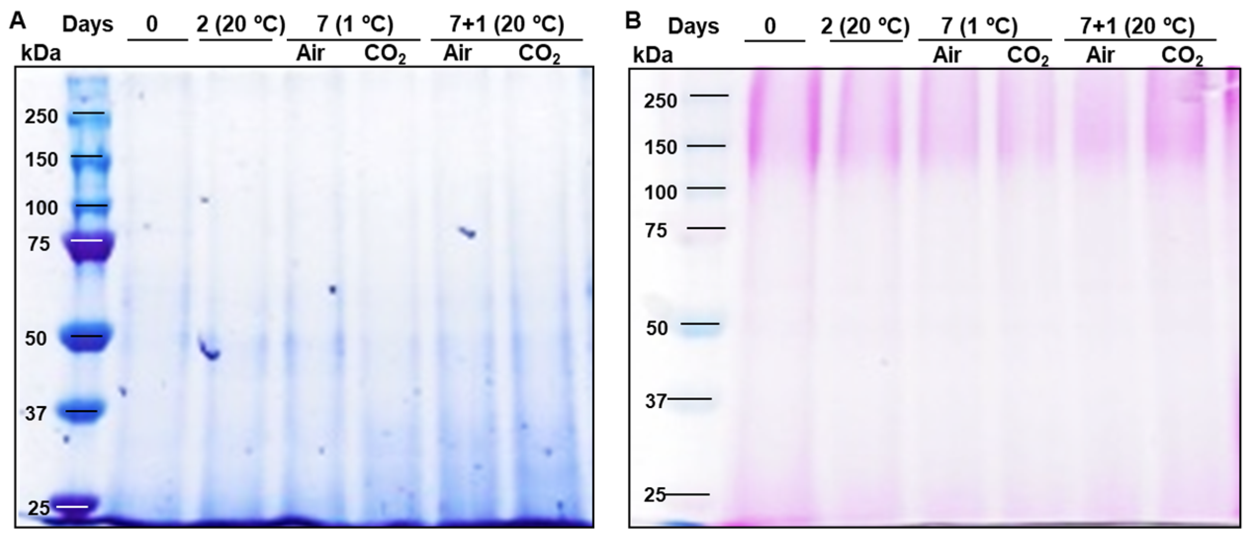 Plants 14 02796 g001 Plants 14 02796 g001
