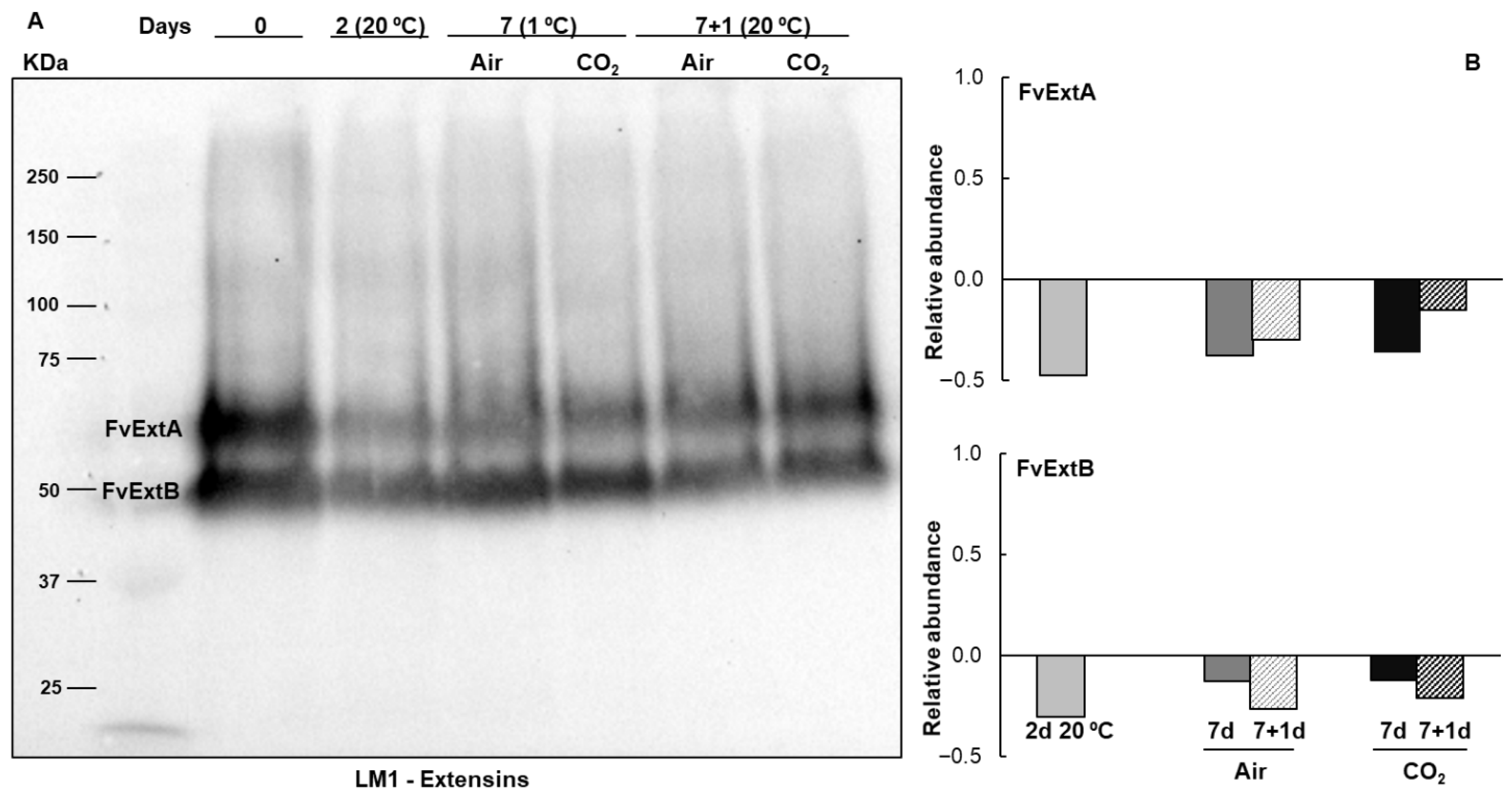 Plants 14 02796 g002 Plants 14 02796 g002