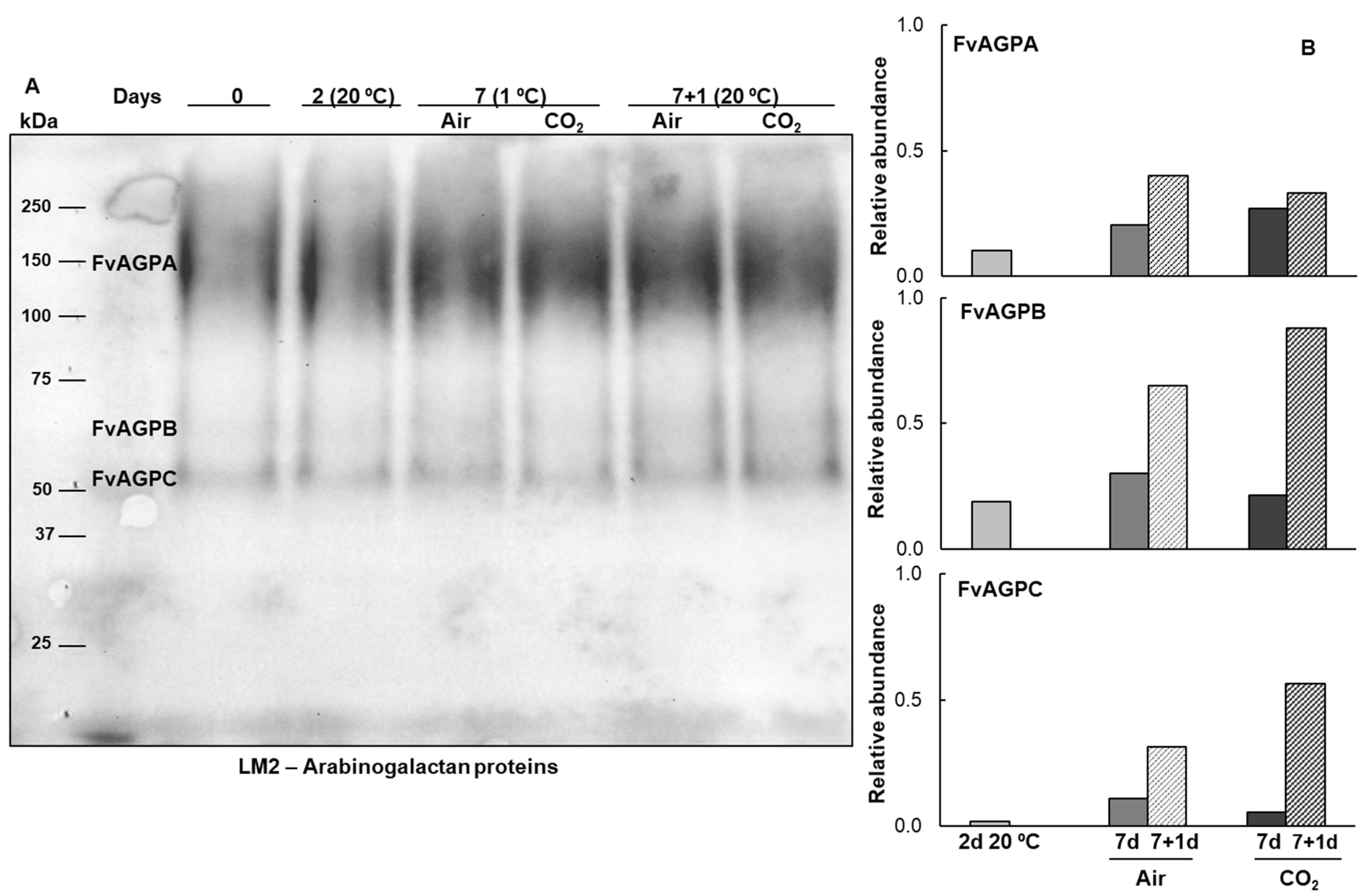 Plants 14 02796 g003 Plants 14 02796 g003