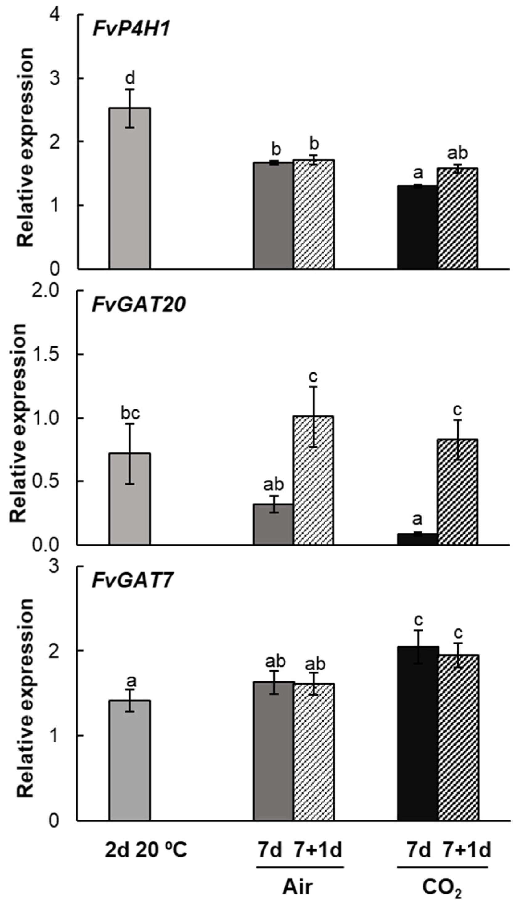 Plants 14 02796 g007 Plants 14 02796 g007