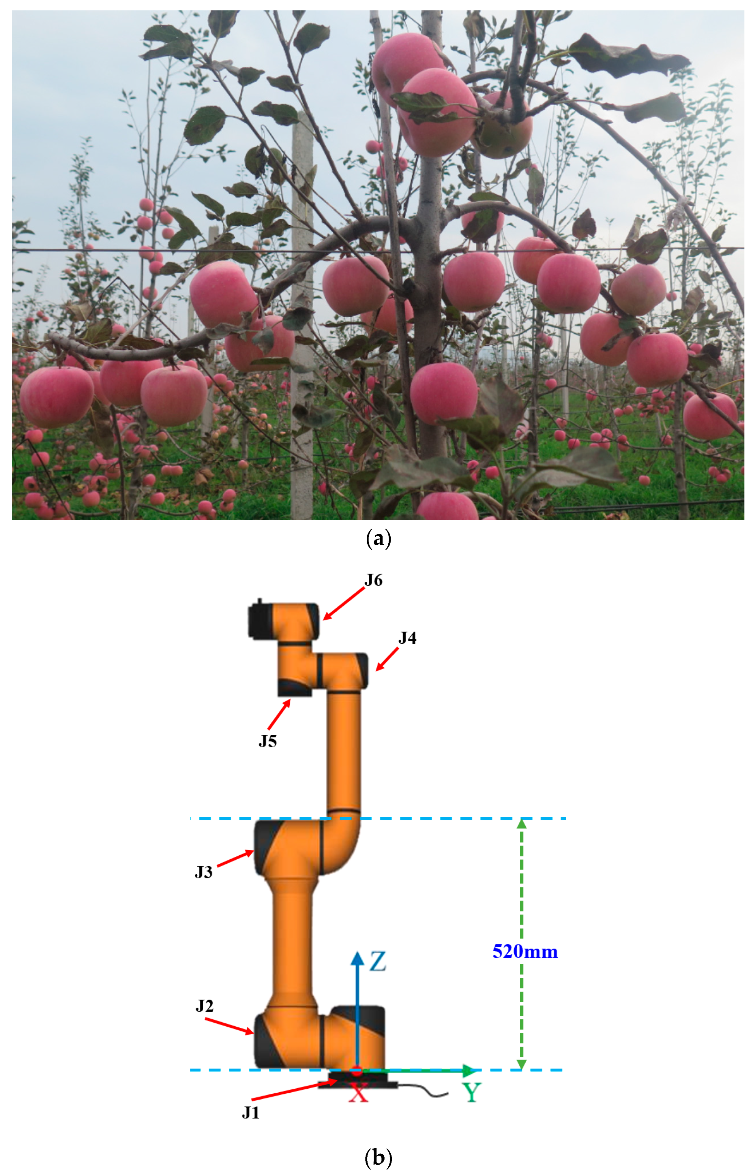 Plants 14 02798 g001