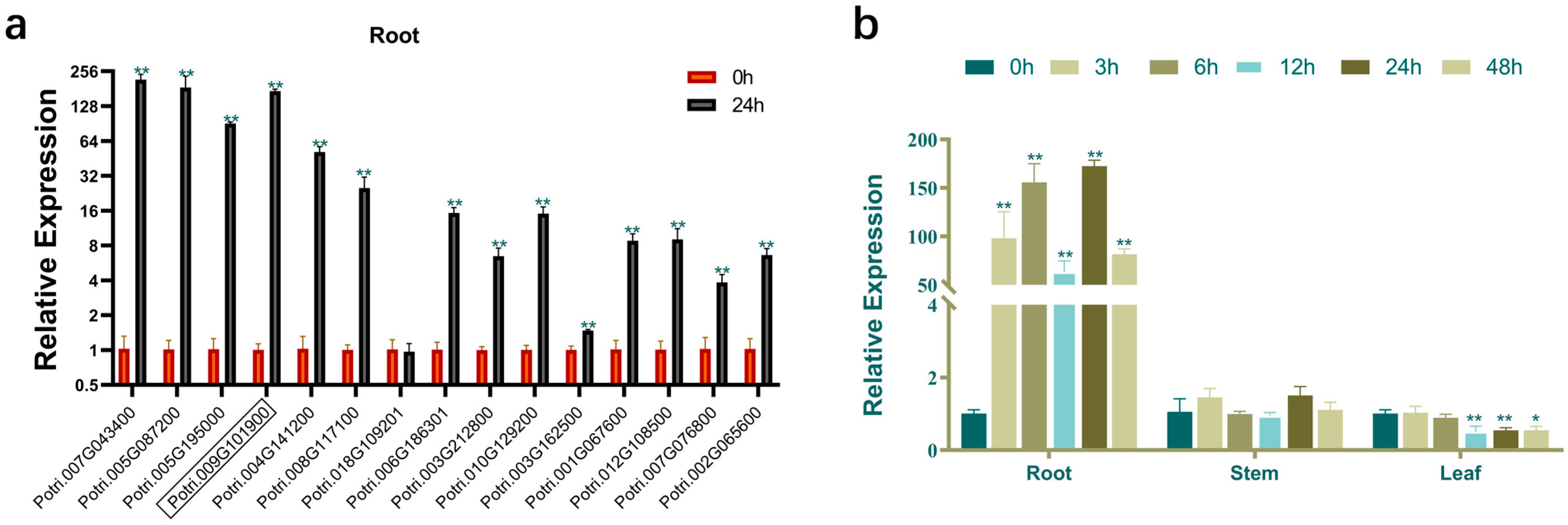 Plants 14 02800 g001