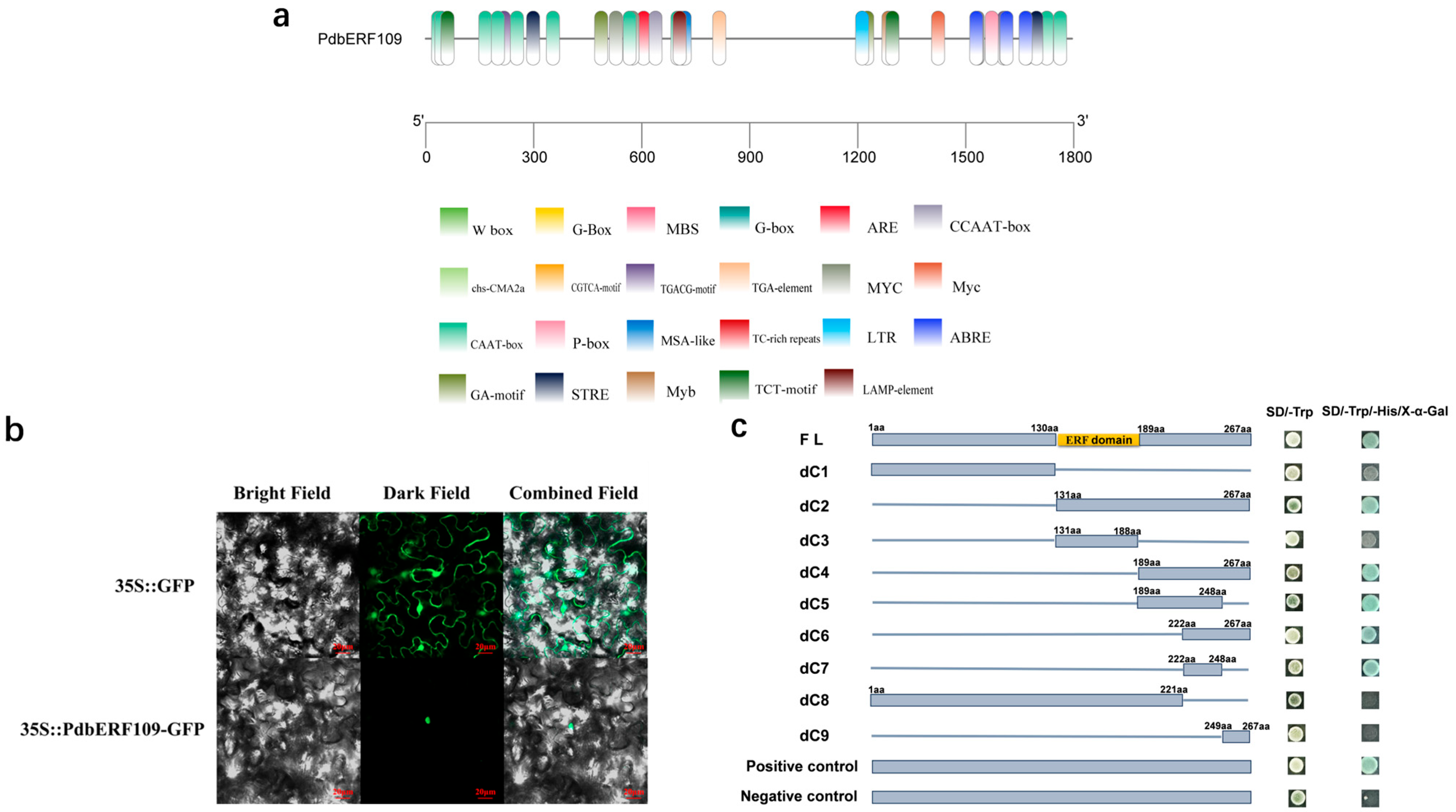 Plants 14 02800 g003