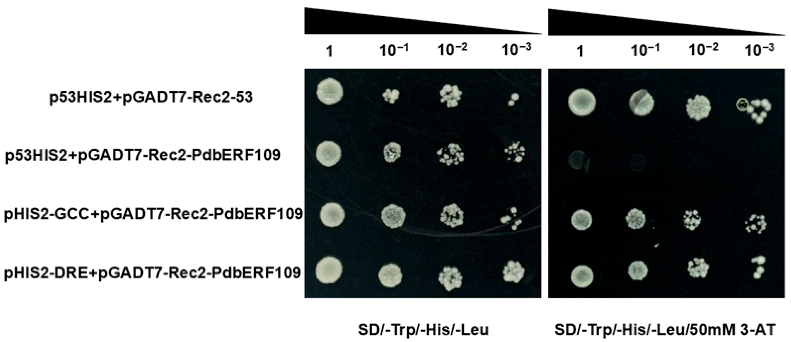 Plants 14 02800 g007