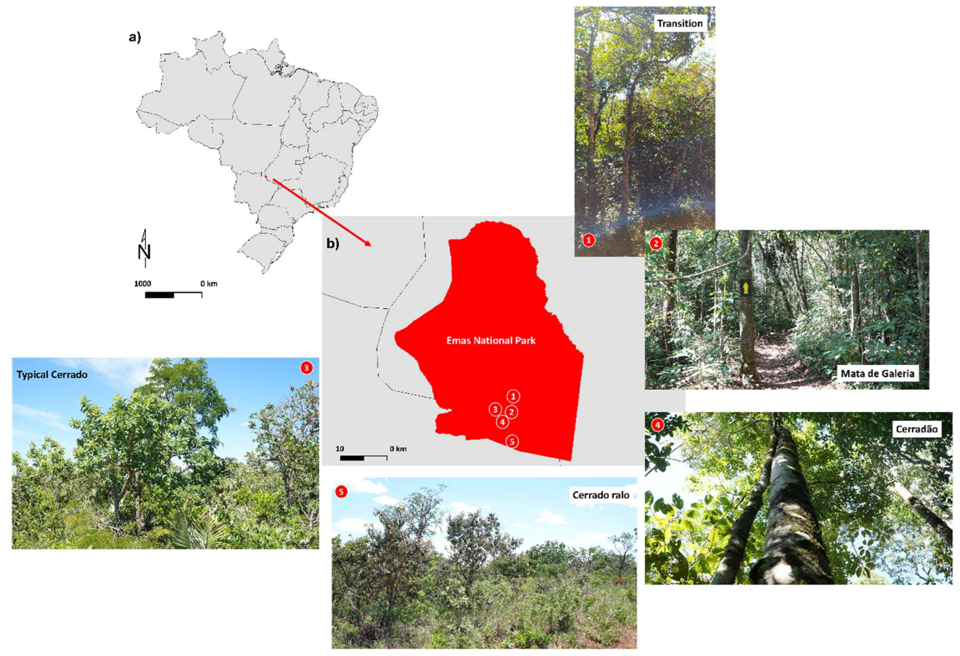 Plants 14 02802 g010