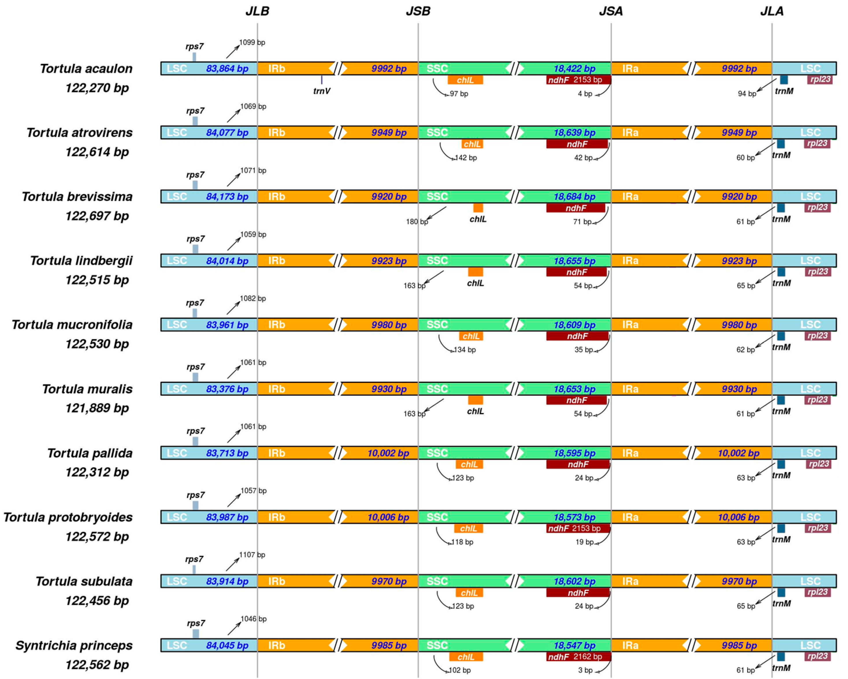Plants 14 02808 g003 Plants 14 02808 g003
