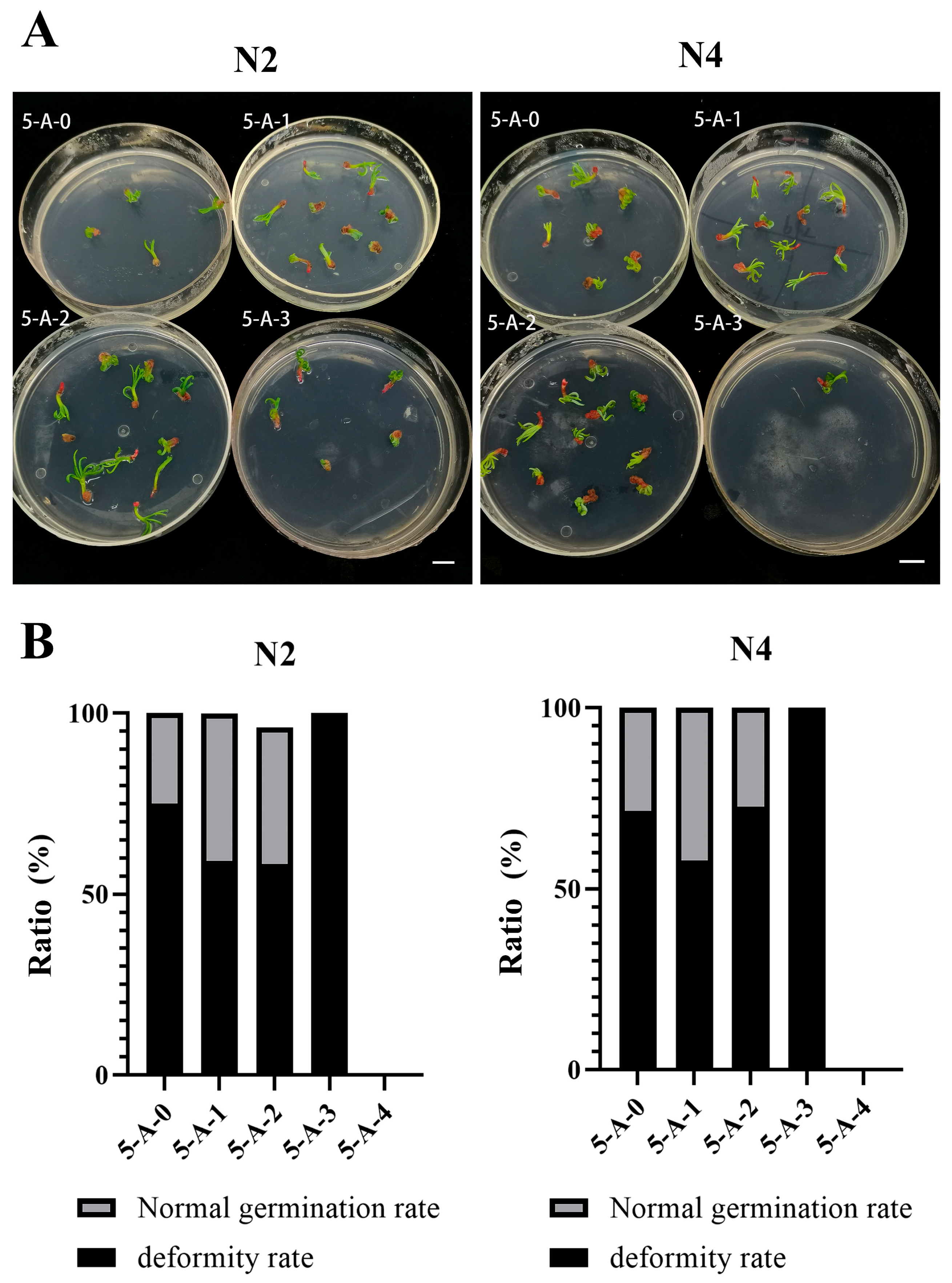 Plants 14 02818 g005 Plants 14 02818 g005