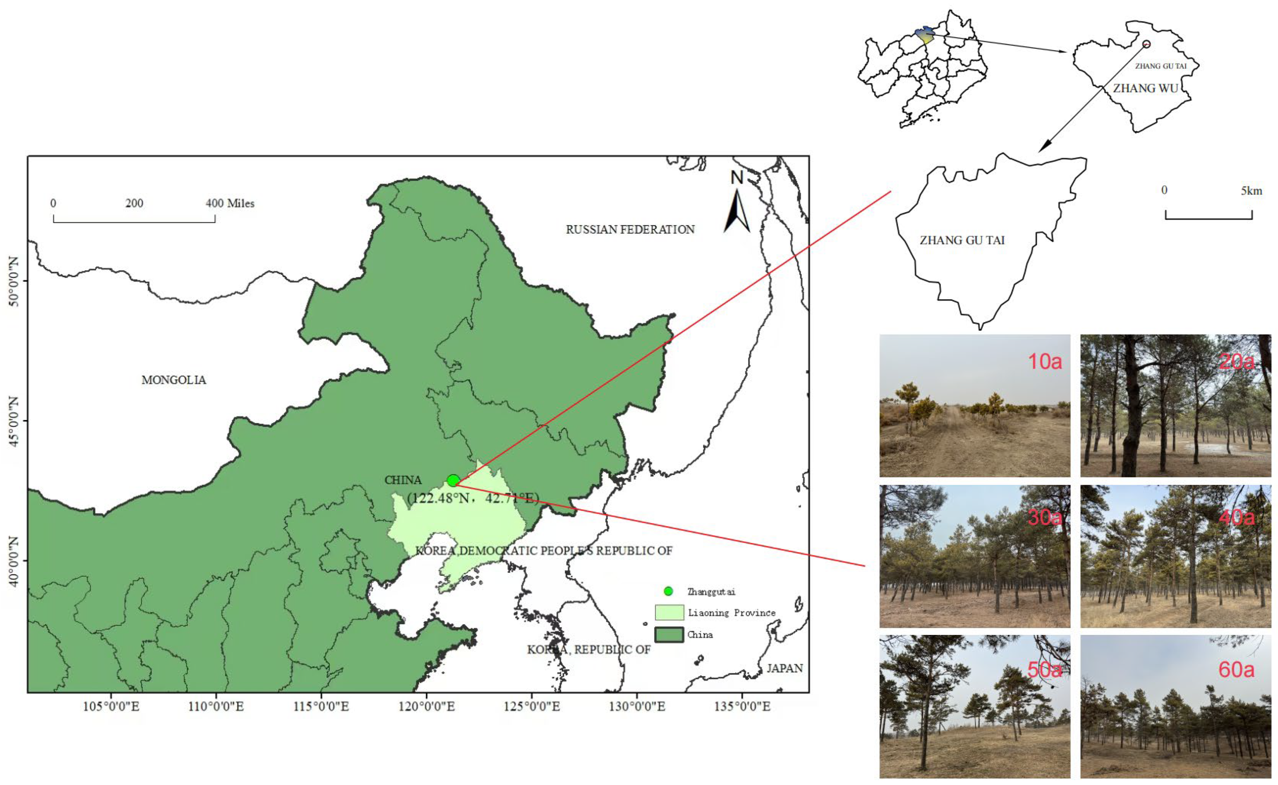 Plants 14 02819 g007 Plants 14 02819 g007