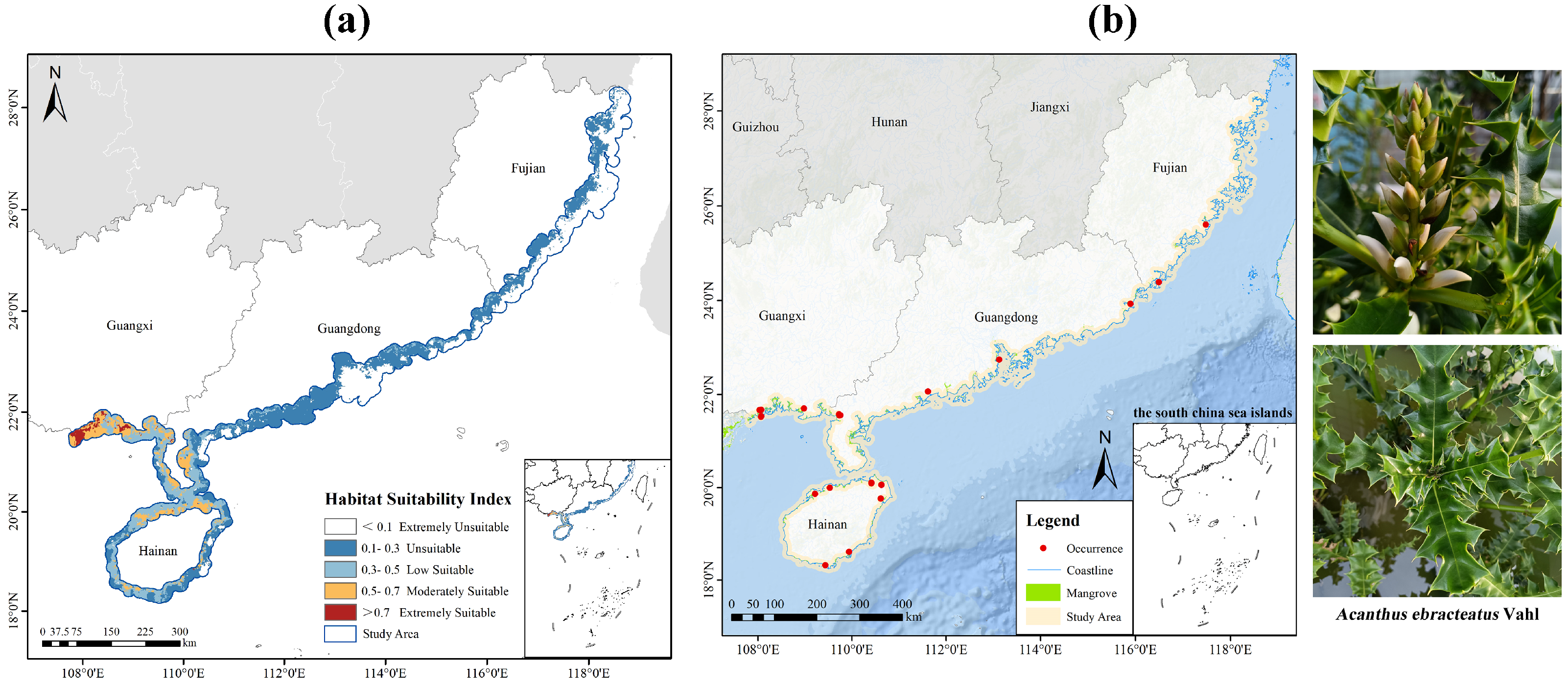 Plants 14 02827 g002 Plants 14 02827 g002