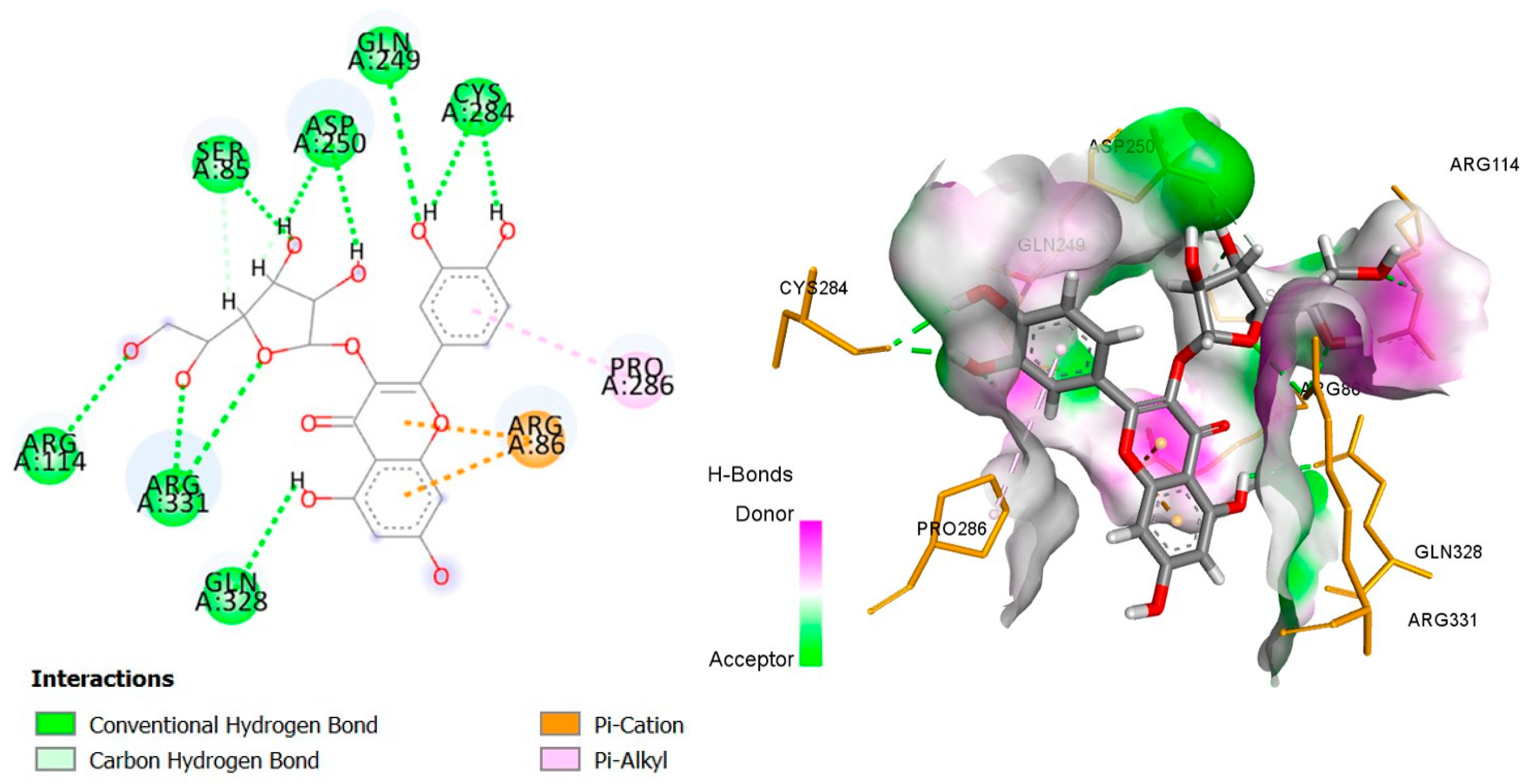 Plants 14 02828 g011 Plants 14 02828 g011