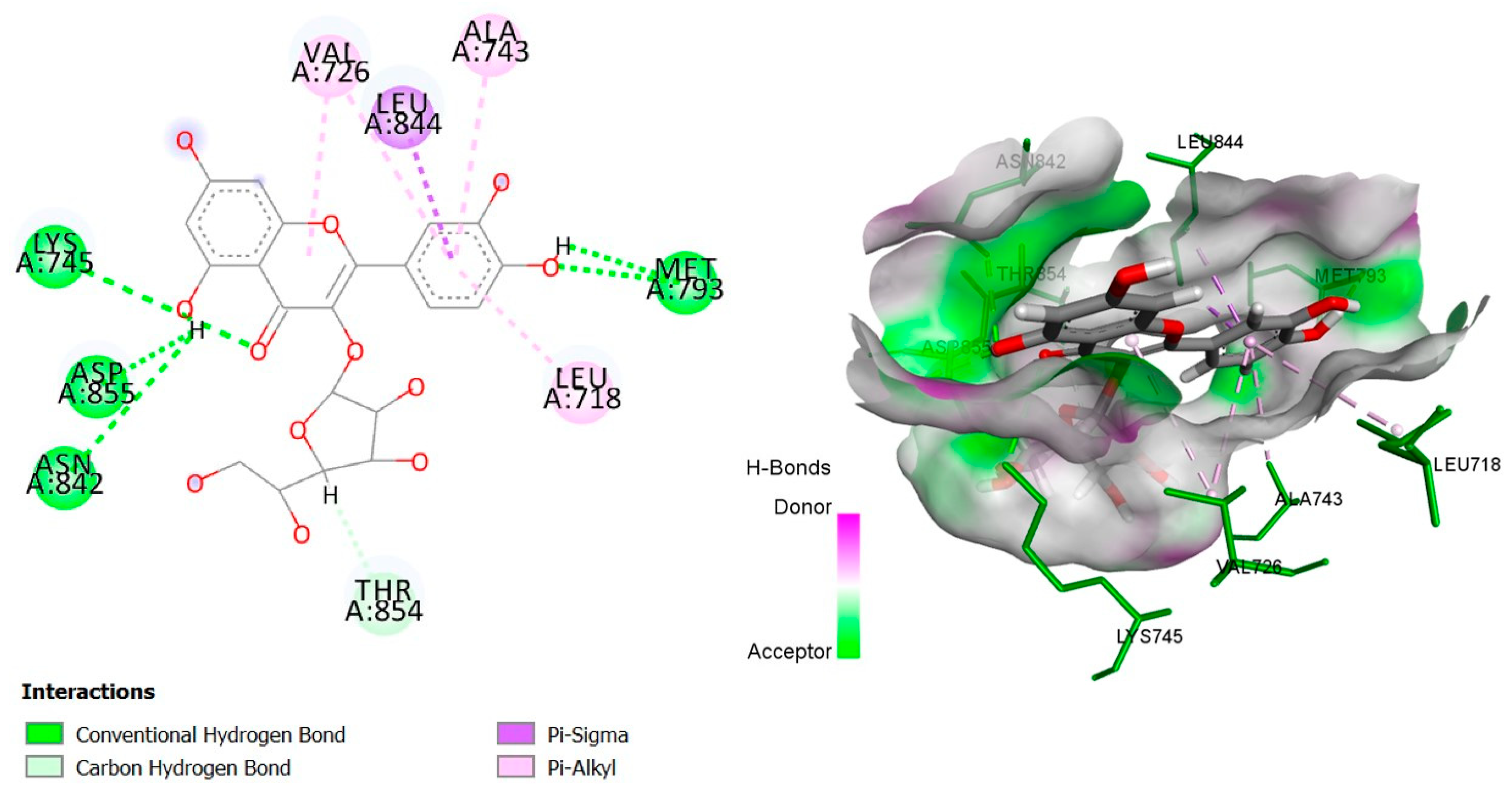 Plants 14 02828 g012 Plants 14 02828 g012