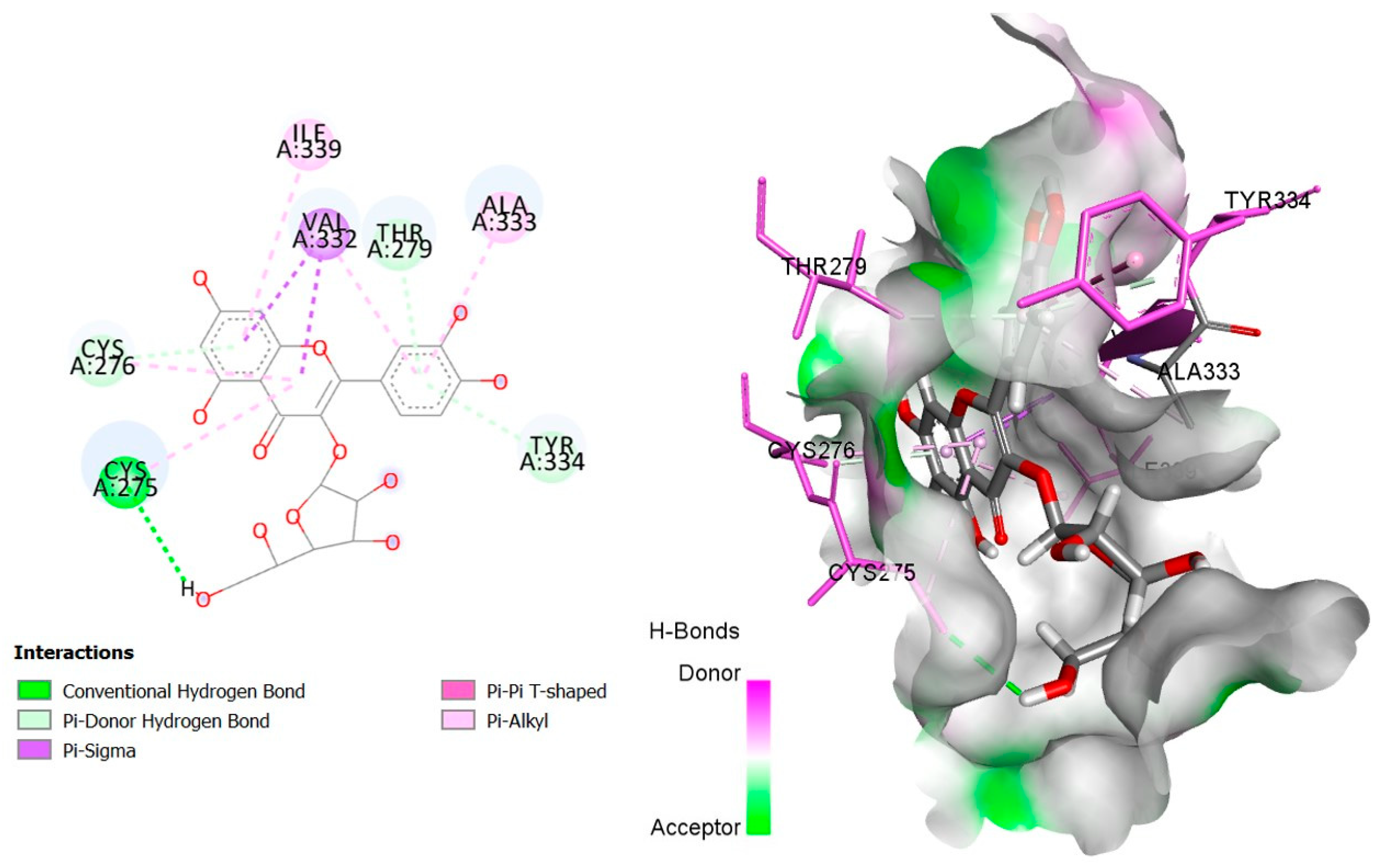 Plants 14 02828 g016 Plants 14 02828 g016