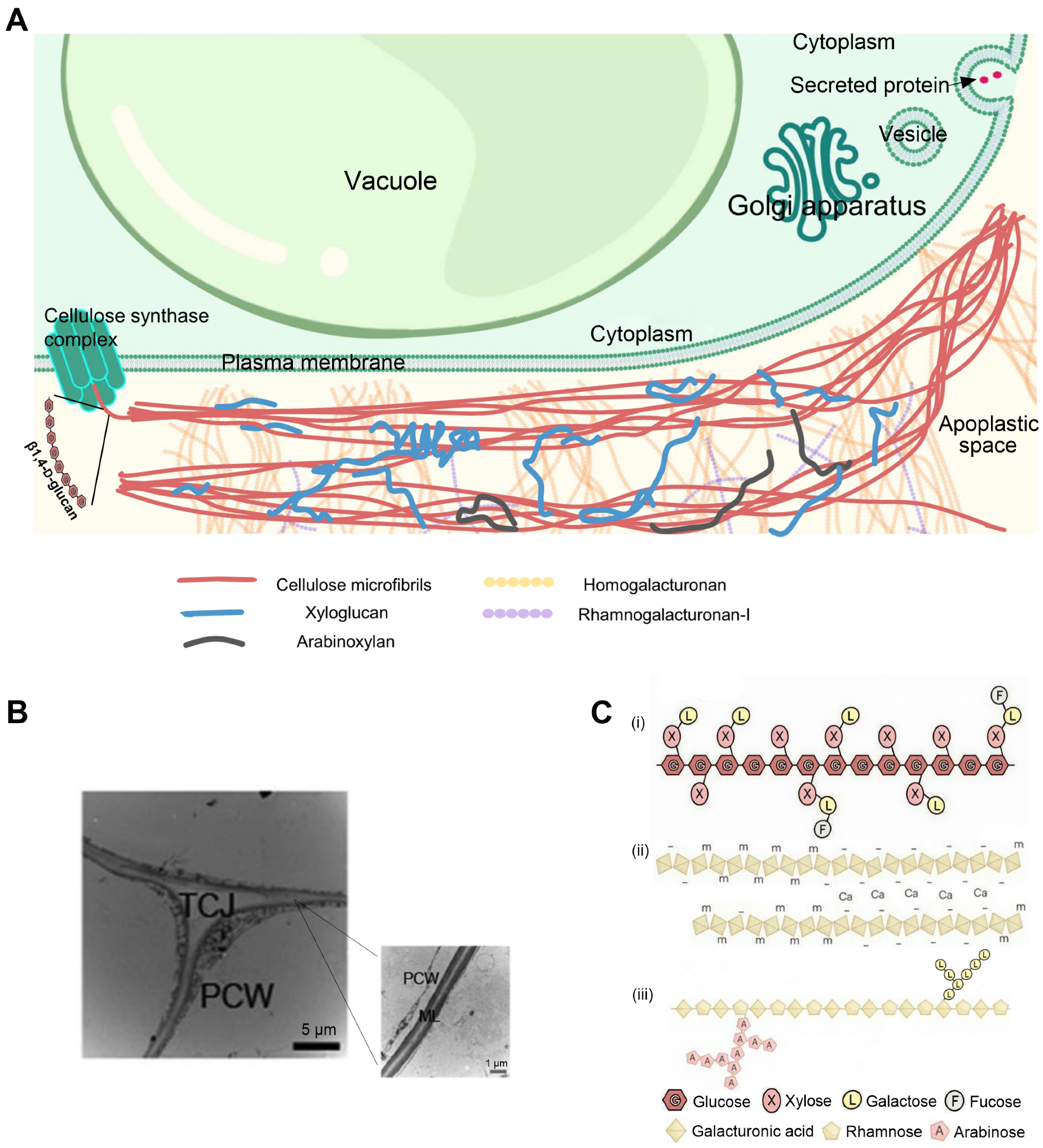 Plants 14 02831 g002