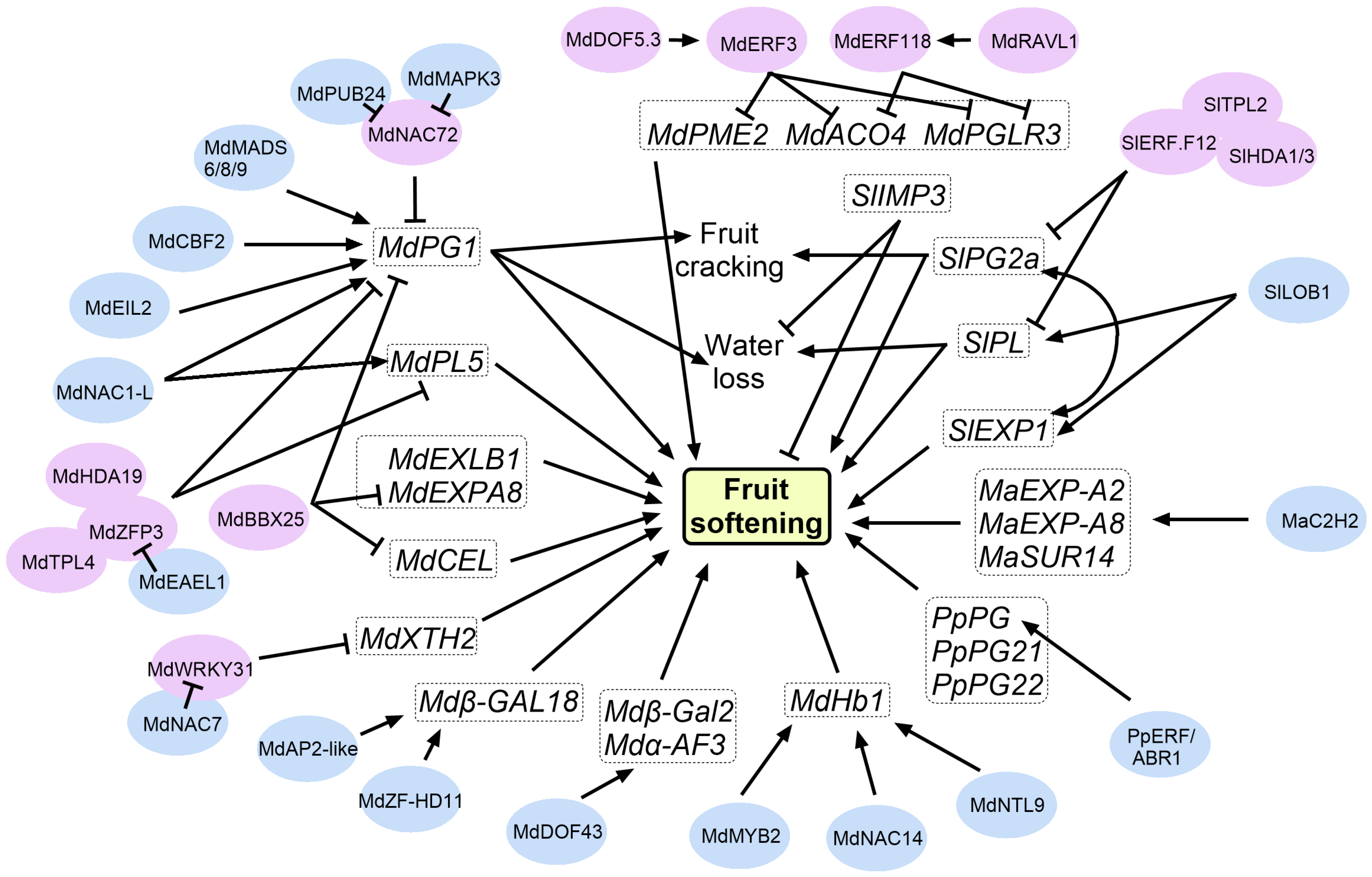 Plants 14 02831 g003