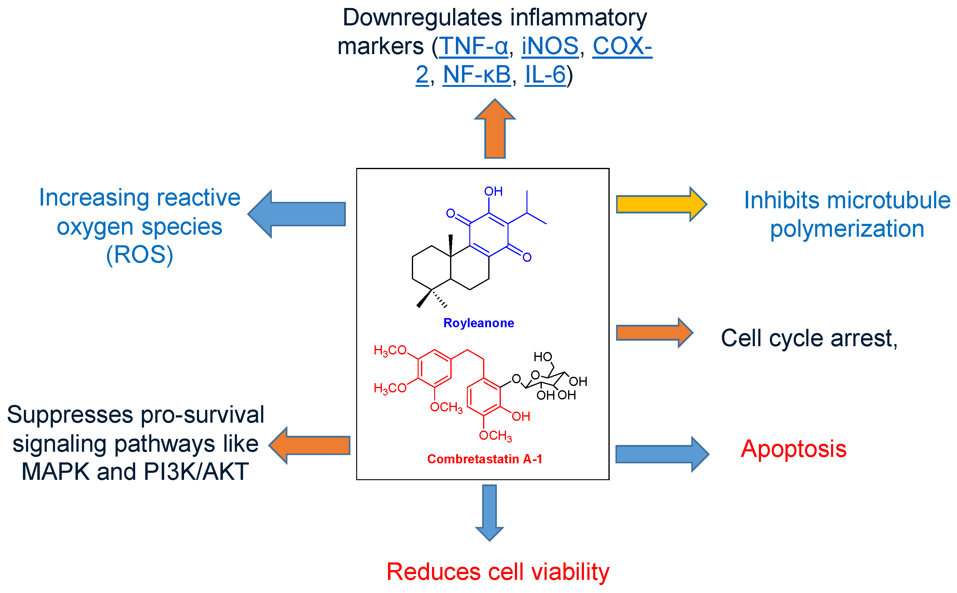 Plants 14 02832 g003 Plants 14 02832 g003