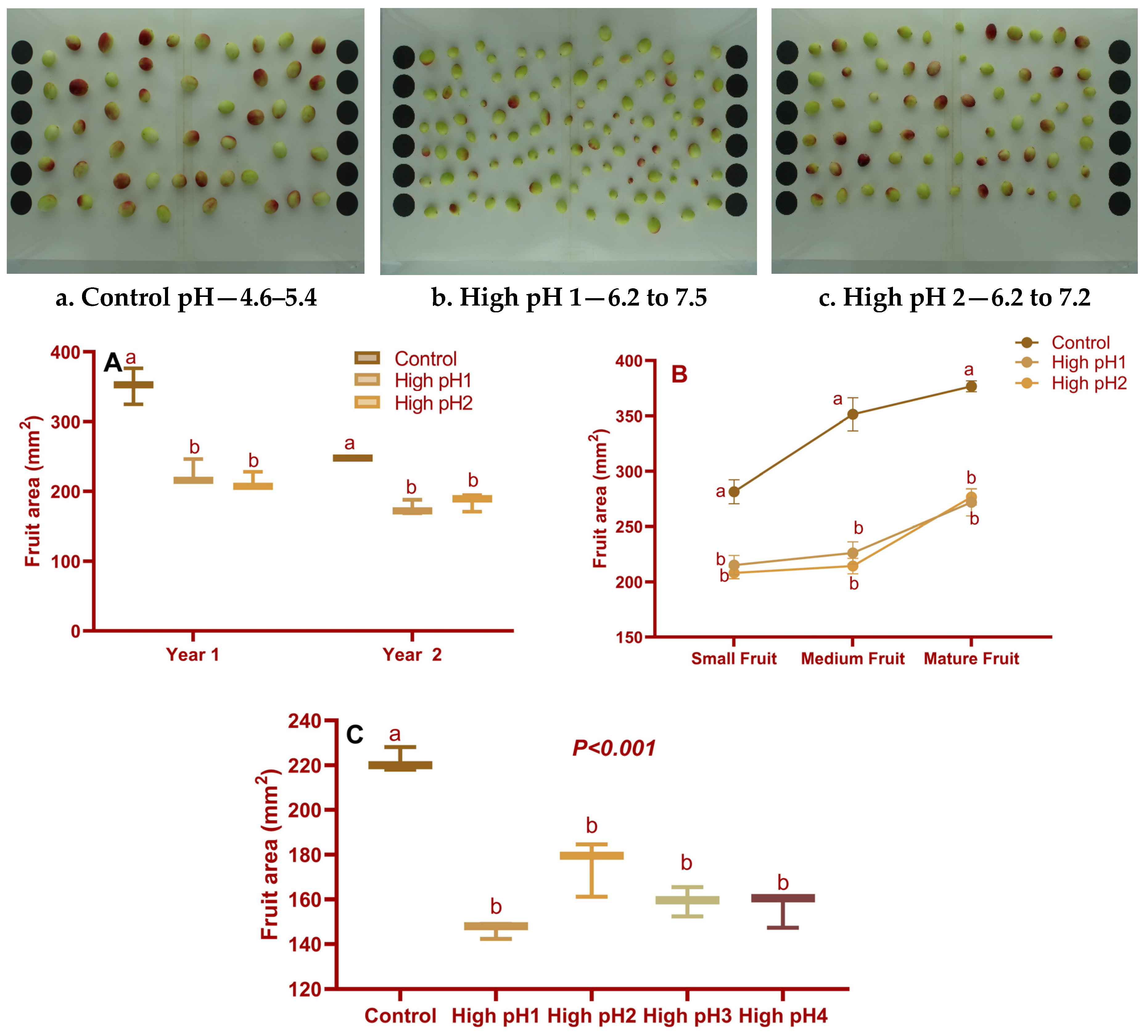 Plants 14 02833 g001
