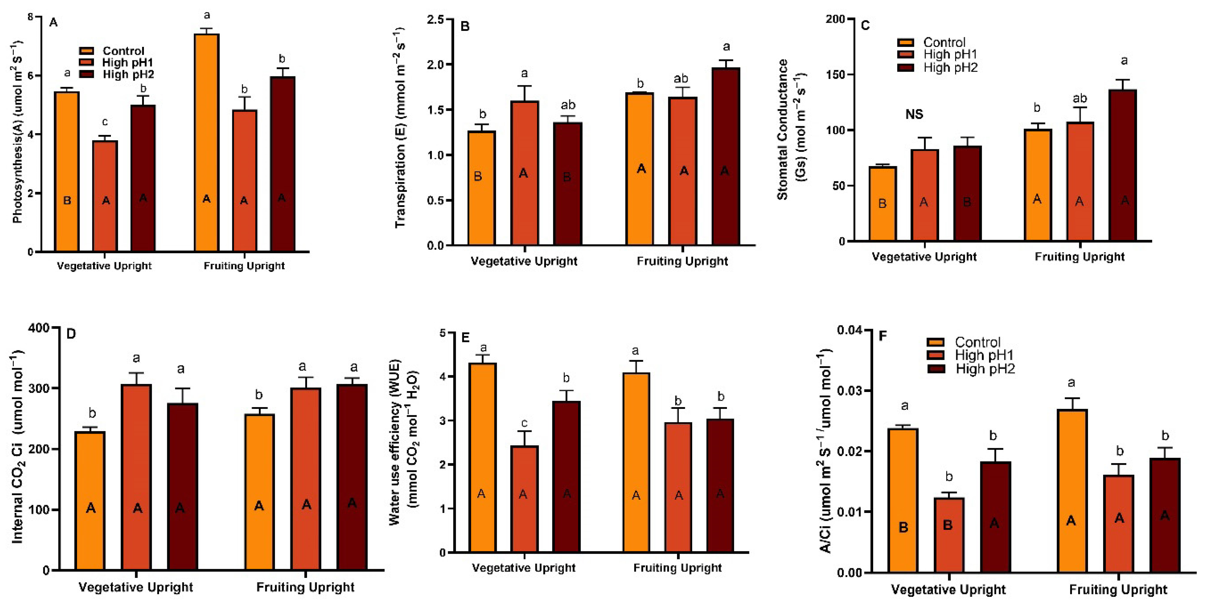 Plants 14 02833 g003