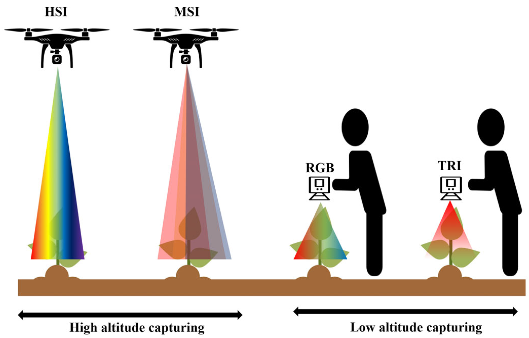 Plants 14 02841 g003 Plants 14 02841 g003