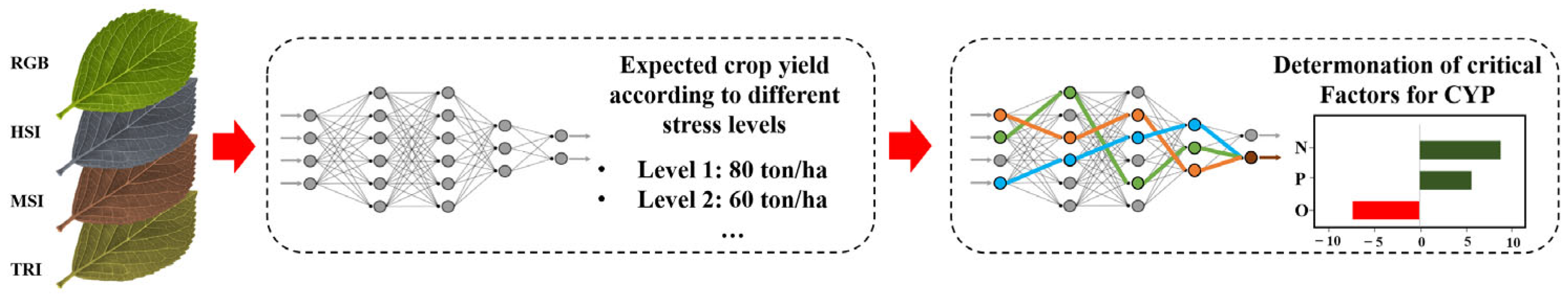 Plants 14 02841 g004 Plants 14 02841 g004