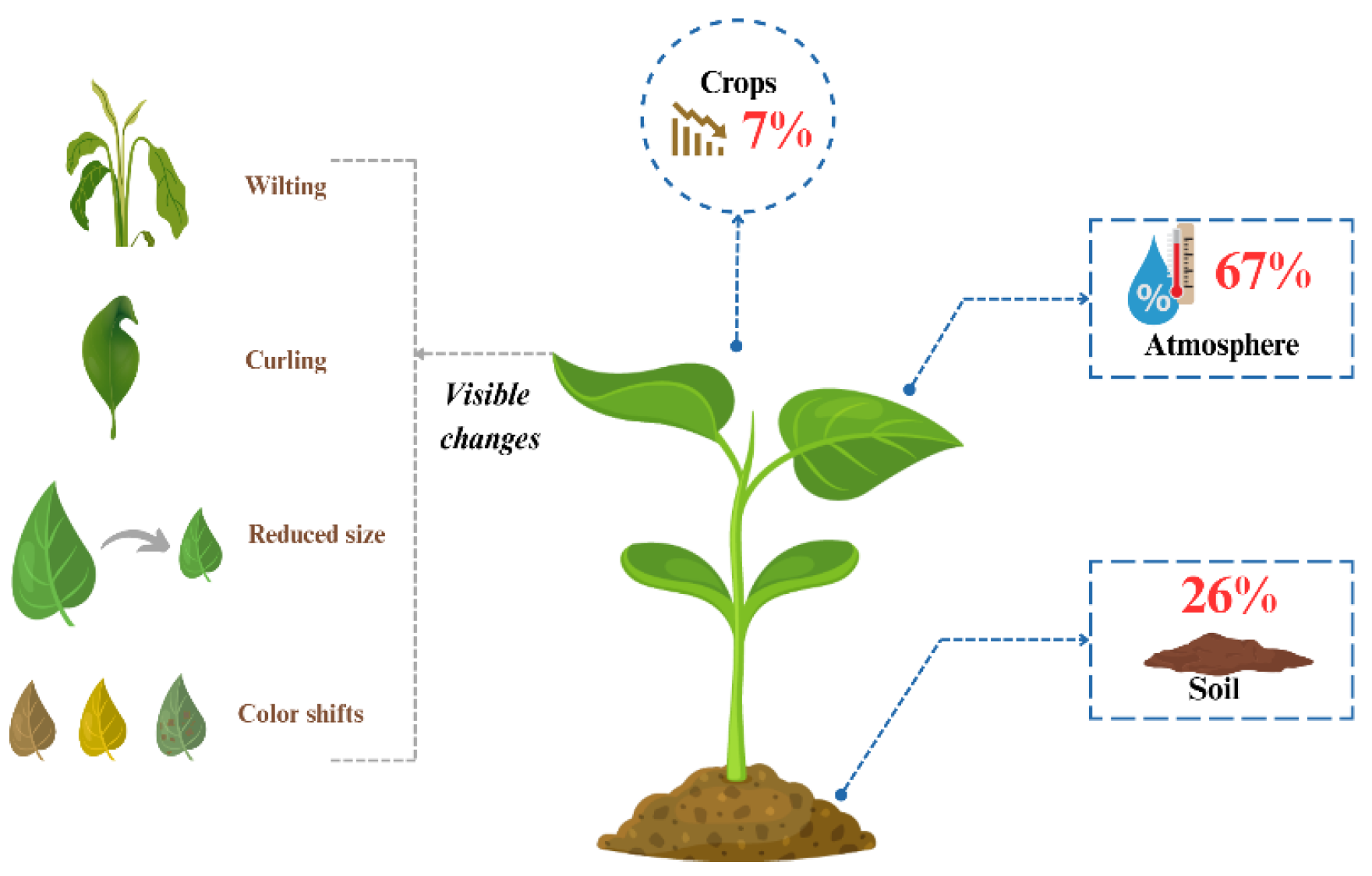 Plants 14 02841 g005 Plants 14 02841 g005